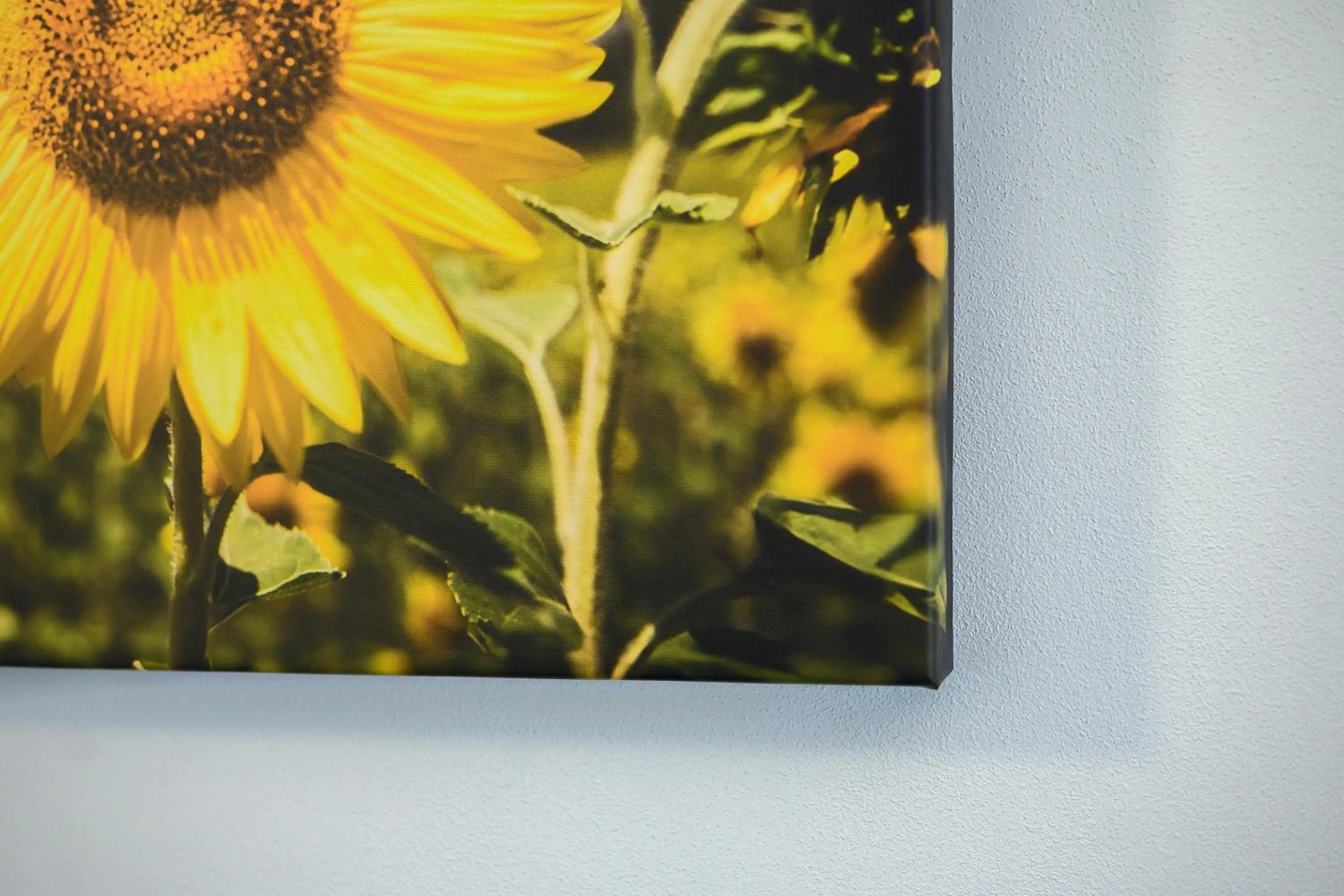 Hotel Anna Siena Nord