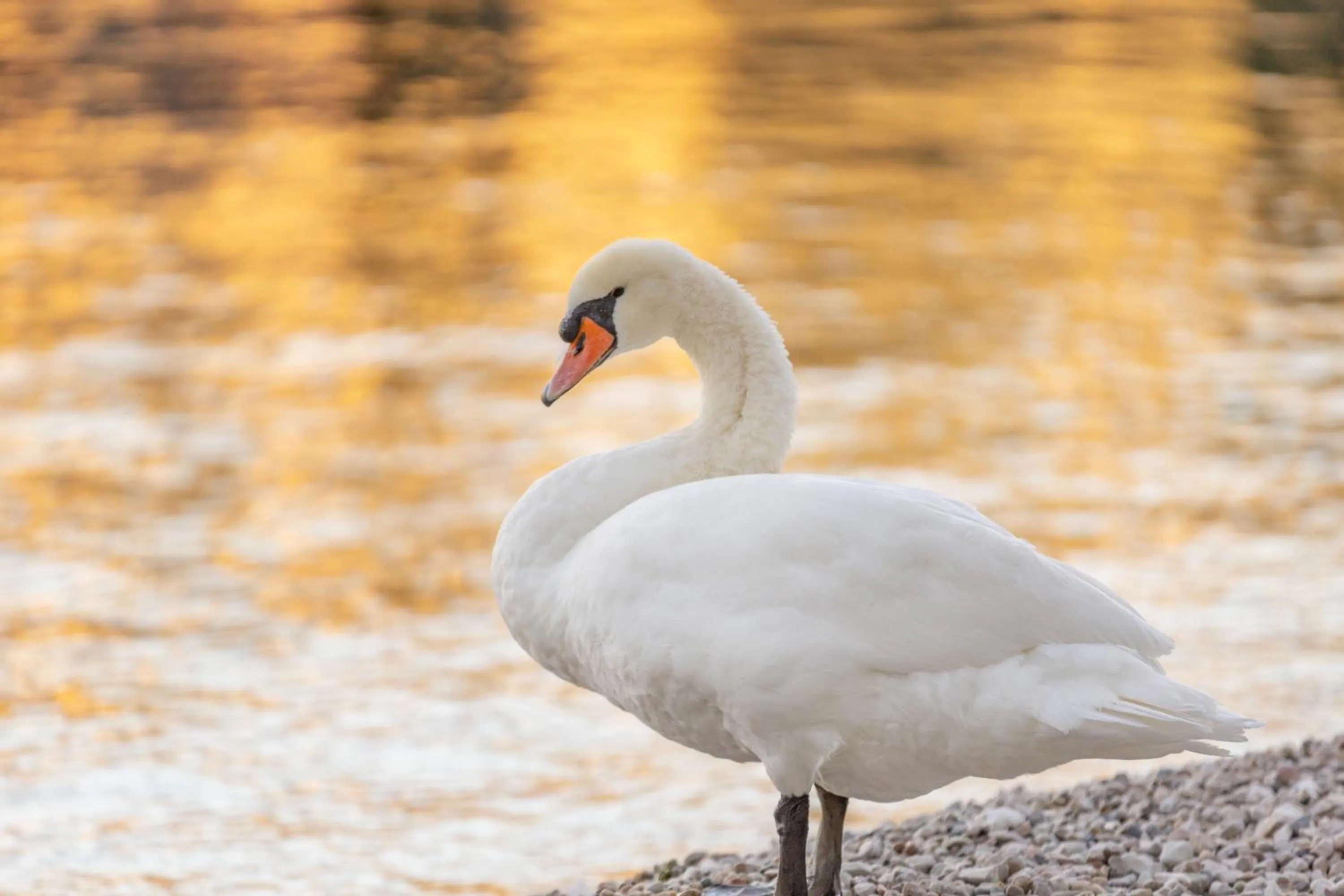 Beach in Hotel Val Di Sogno - Adults Only