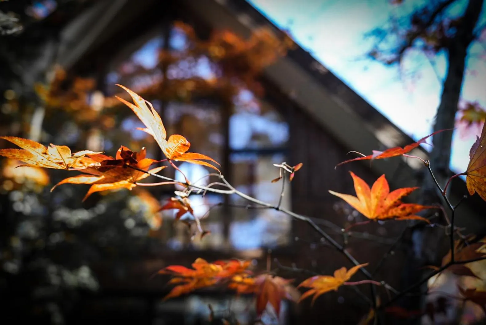 Property building in Karuizawa Forest Seasons Villa