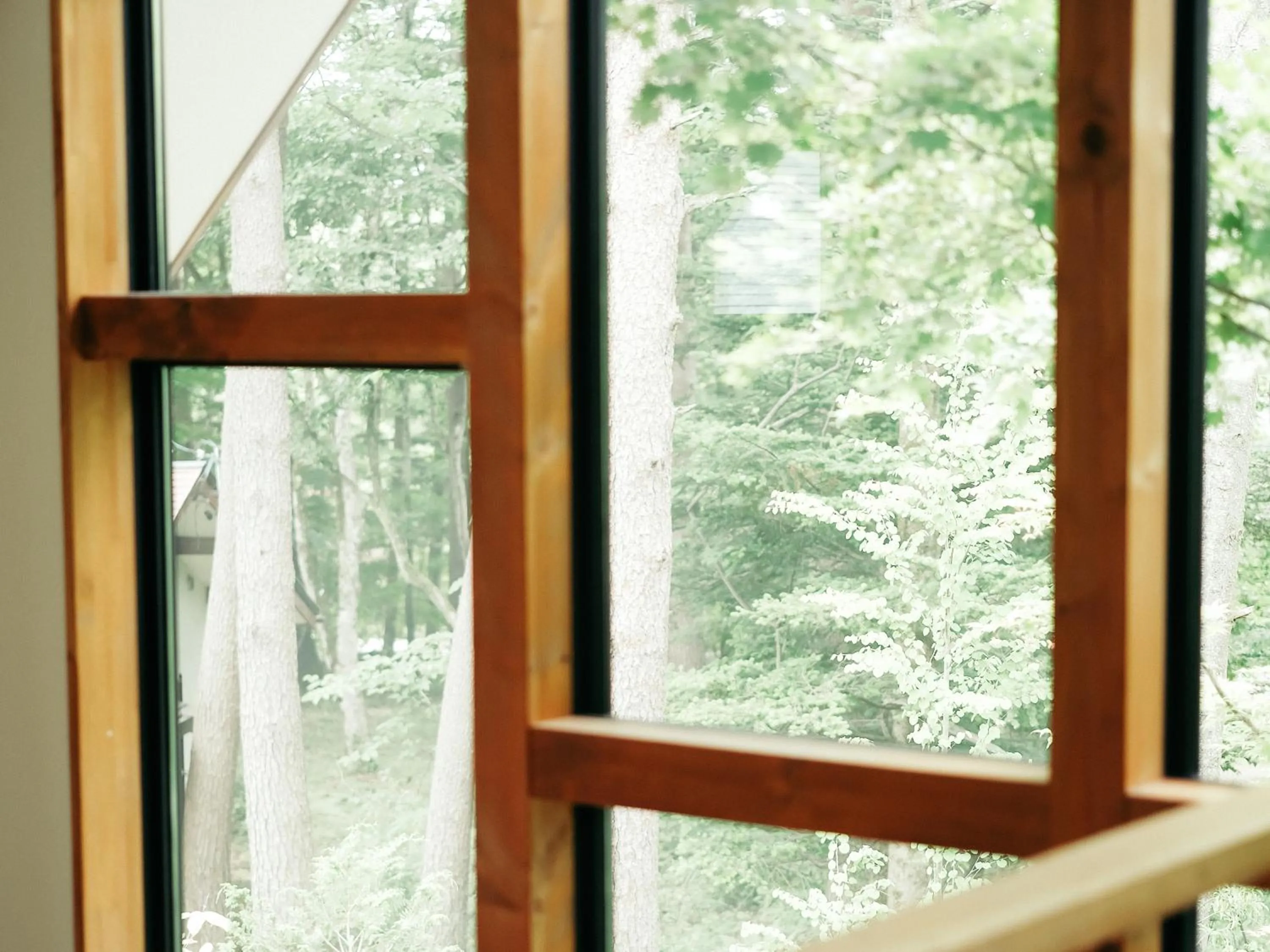 Spring in Karuizawa Forest Seasons Villa