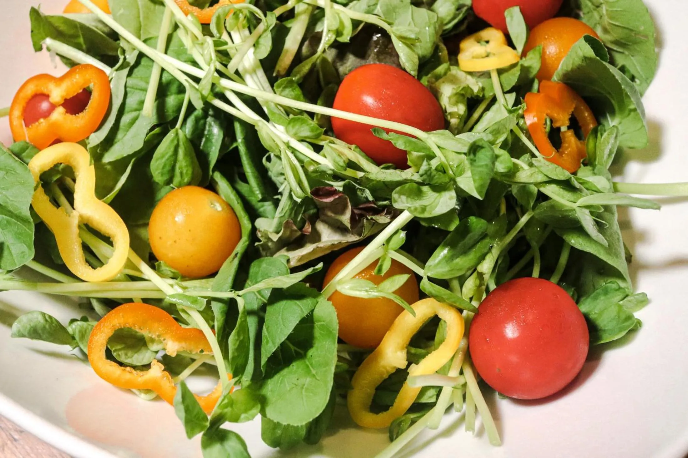 Restaurant/places to eat in Karuizawa Forest Seasons Villa