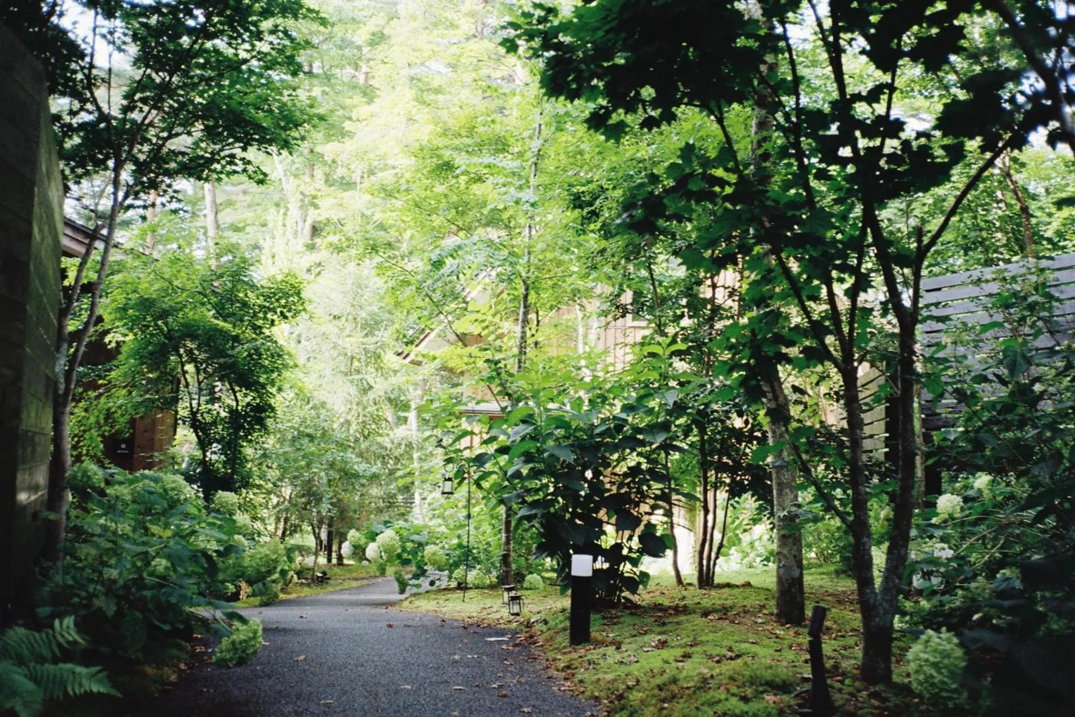Day in Karuizawa Forest Seasons Villa