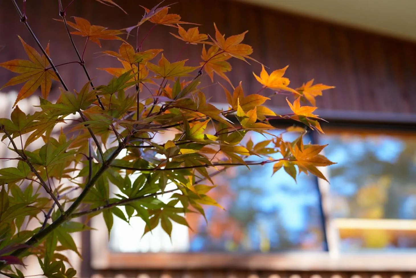 Property building in Karuizawa Forest Seasons Villa