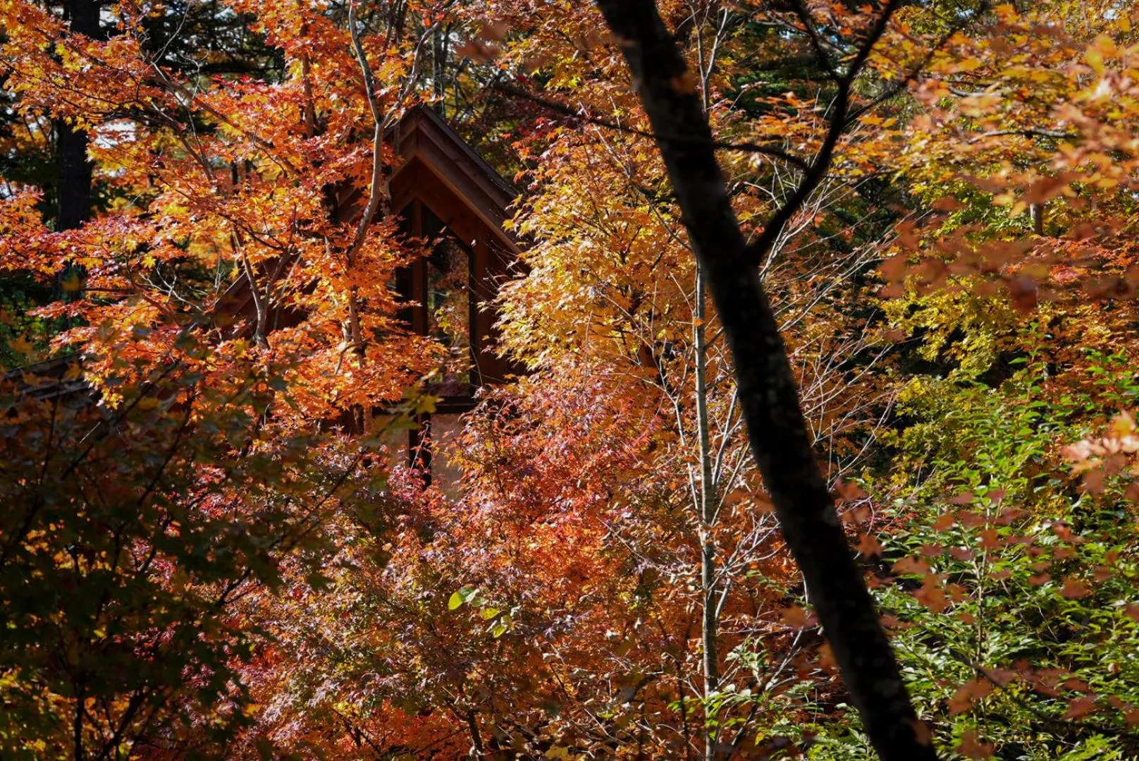 Property building in Karuizawa Forest Seasons Villa