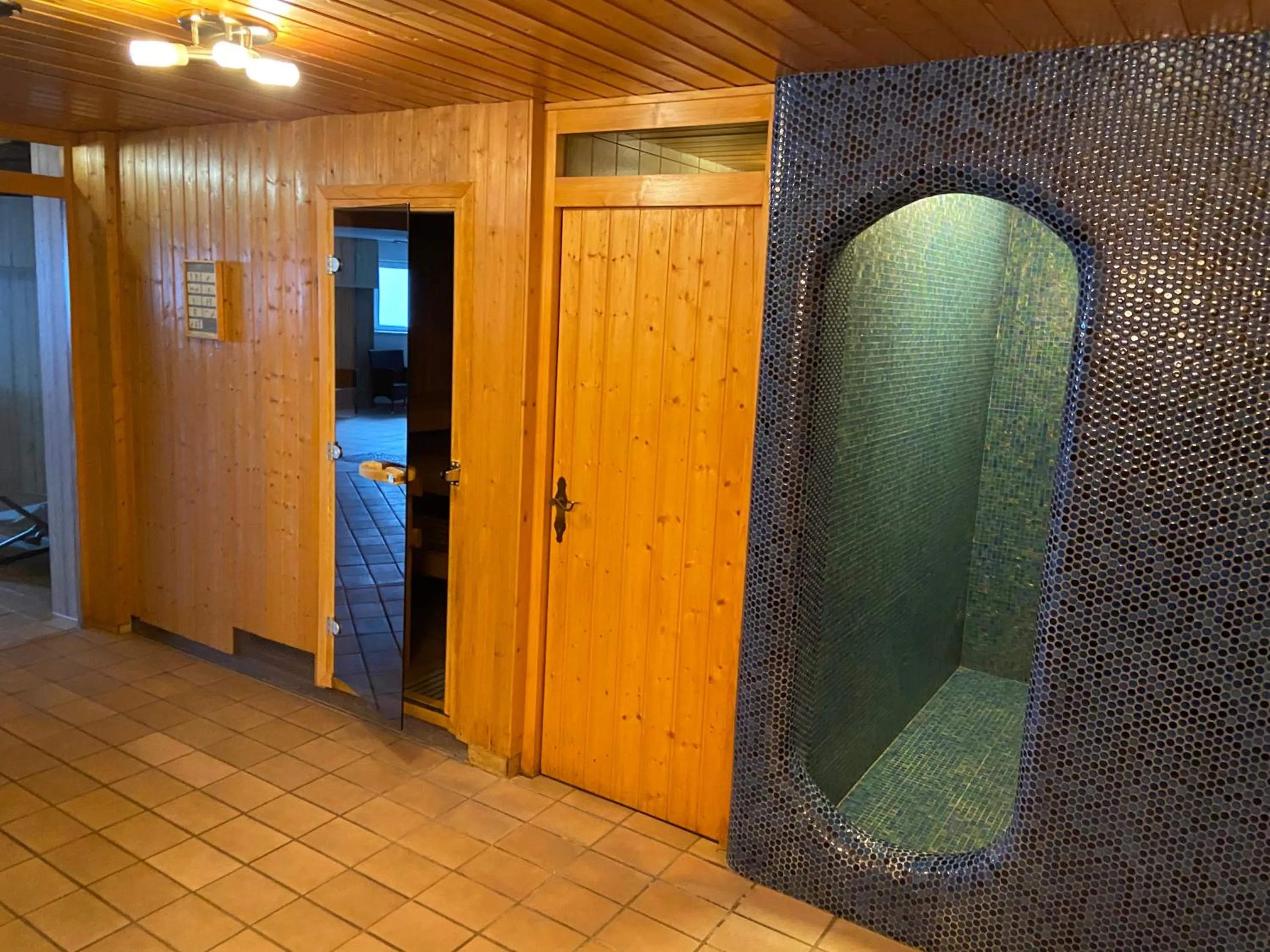 Spa and wellness centre/facilities in Hotel Erika