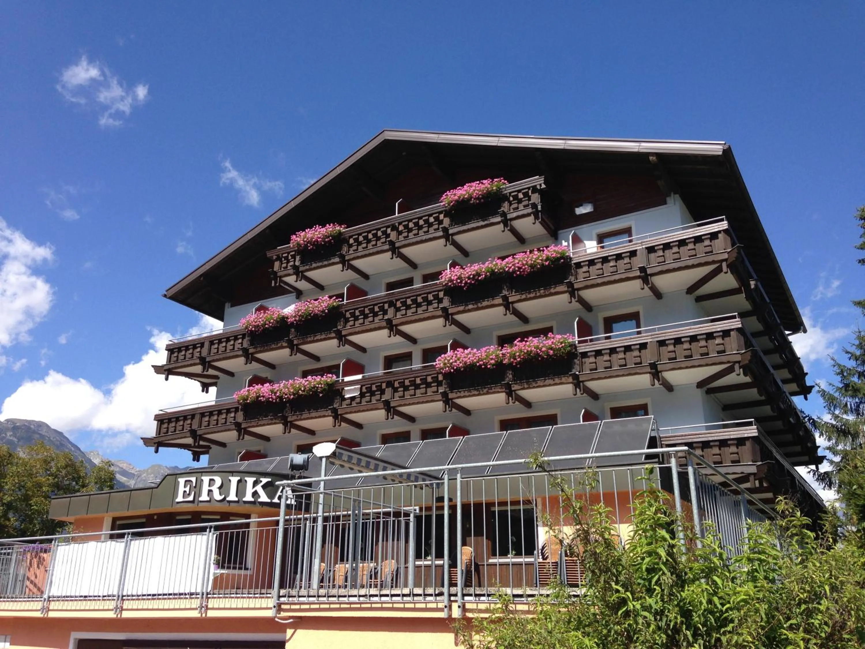Balcony/Terrace in Hotel Erika