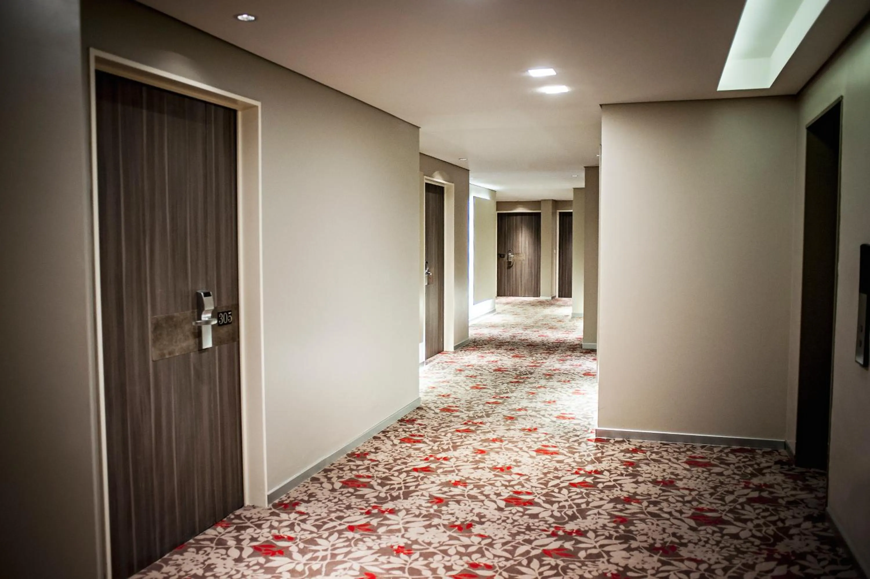 Other in CasaSur Bellini