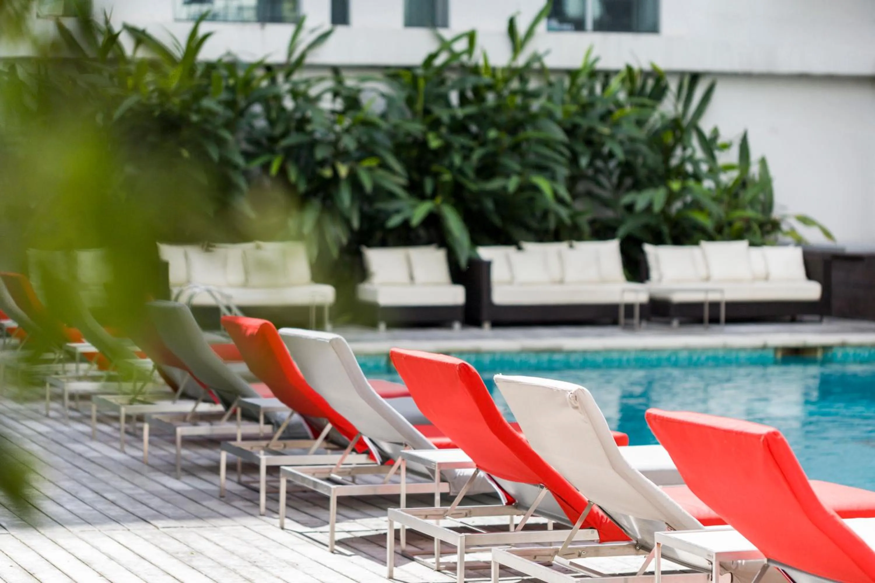 Swimming pool in CasaSur Bellini