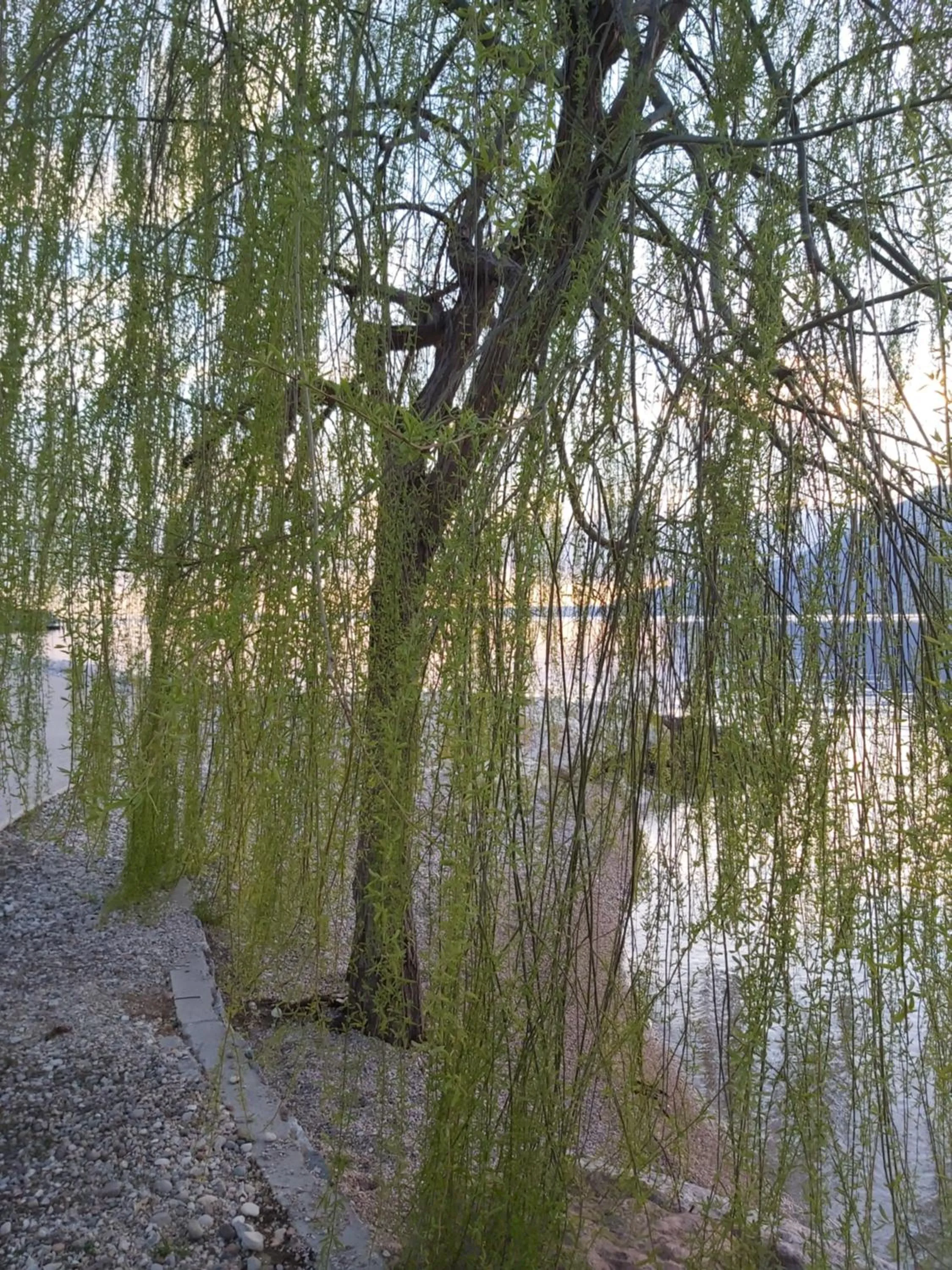 Spring in Hotel Danieli La Castellana lago di Garda