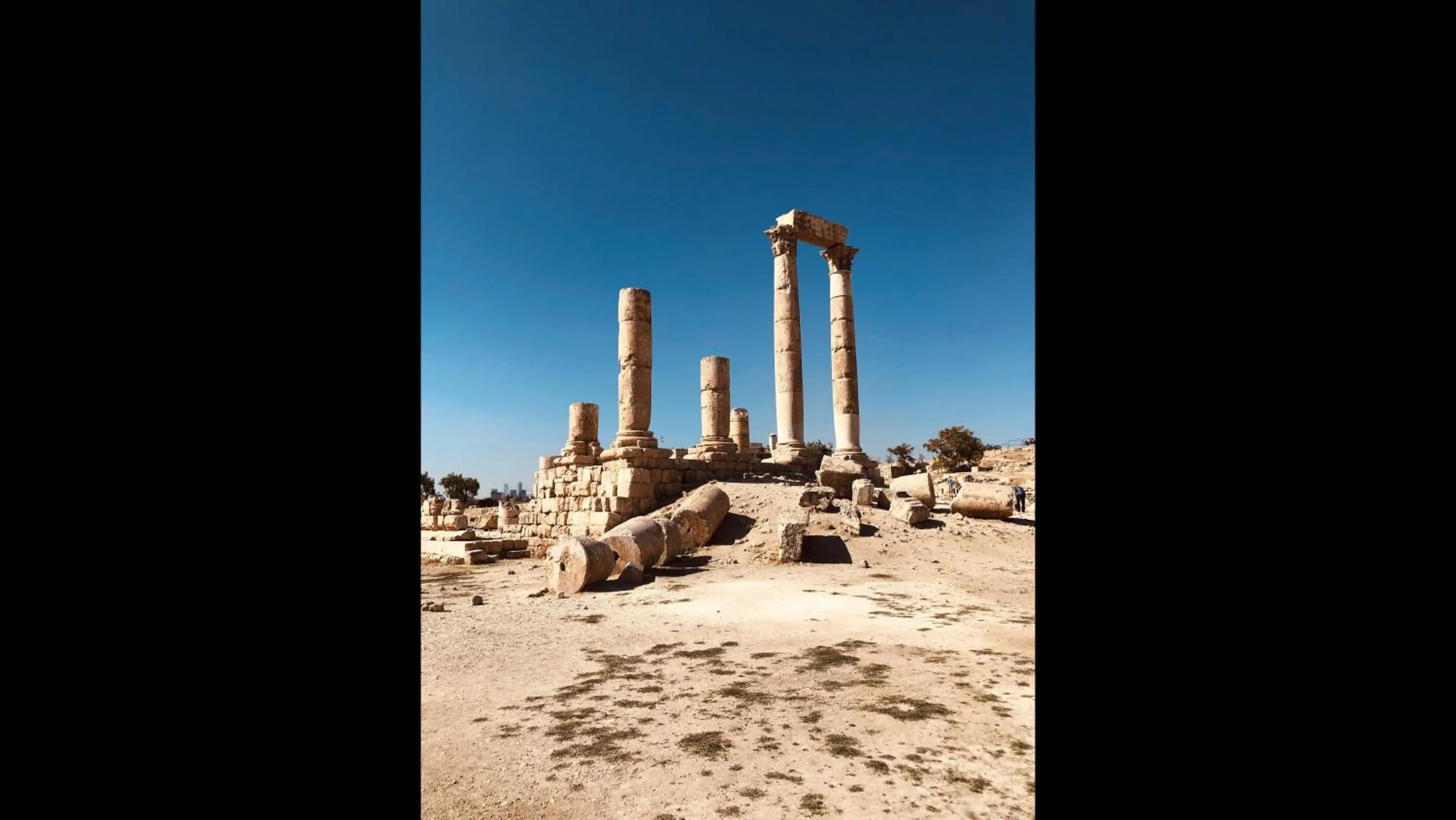 The Royal Luxury Superior Queen cot