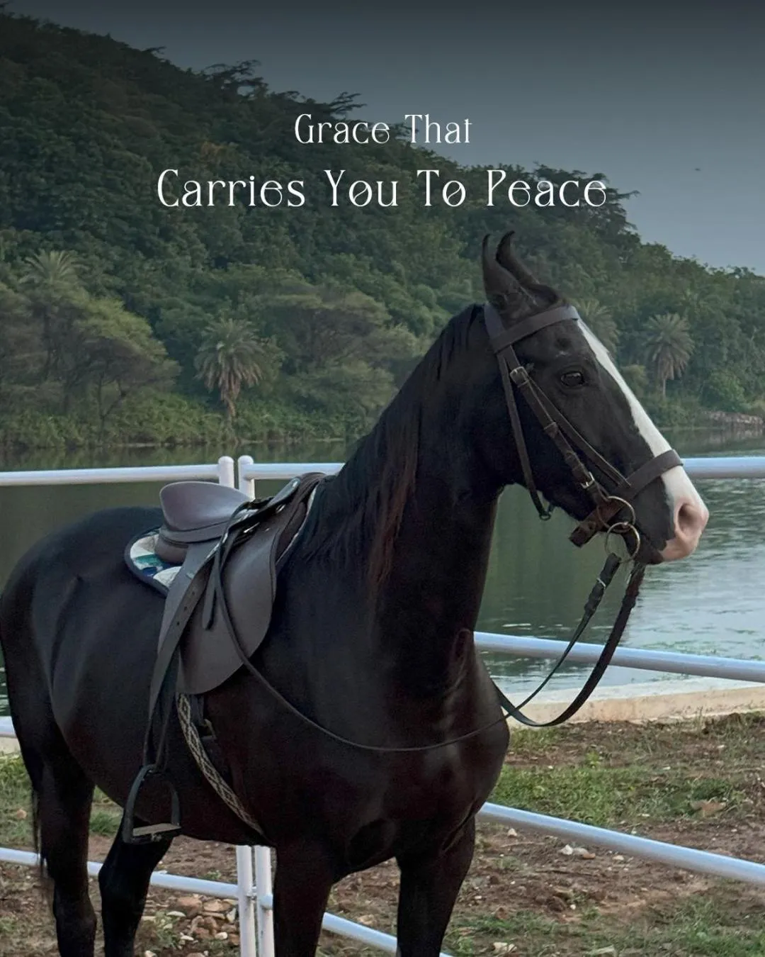 Horse-riding in Sarasiruham Resort - Private Pool Villa in Udaipur