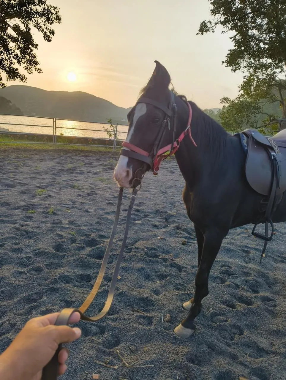 Horse-riding in Sarasiruham Resort - Private Pool Villa in Udaipur