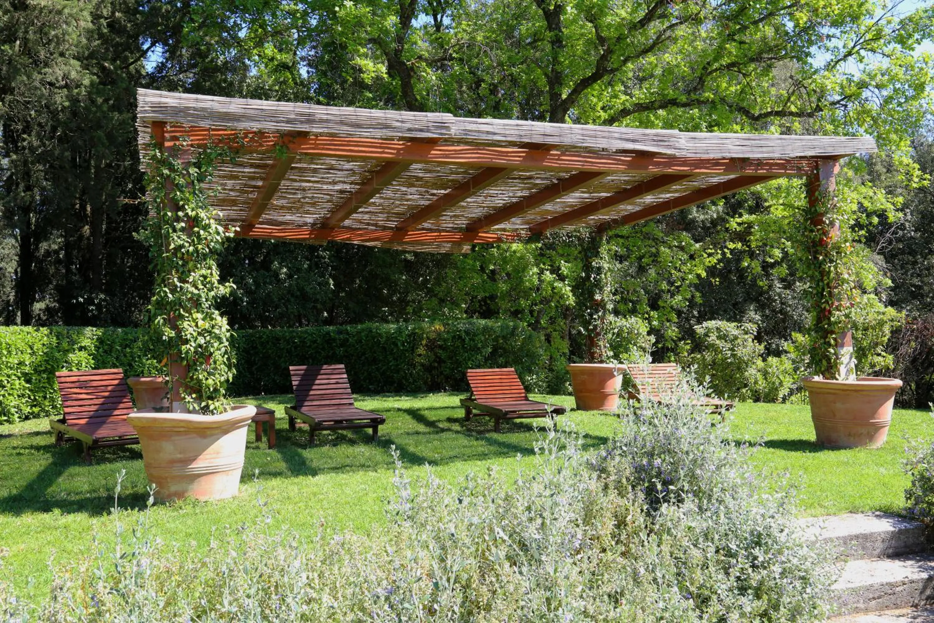 Garden in Hotel La Collegiata