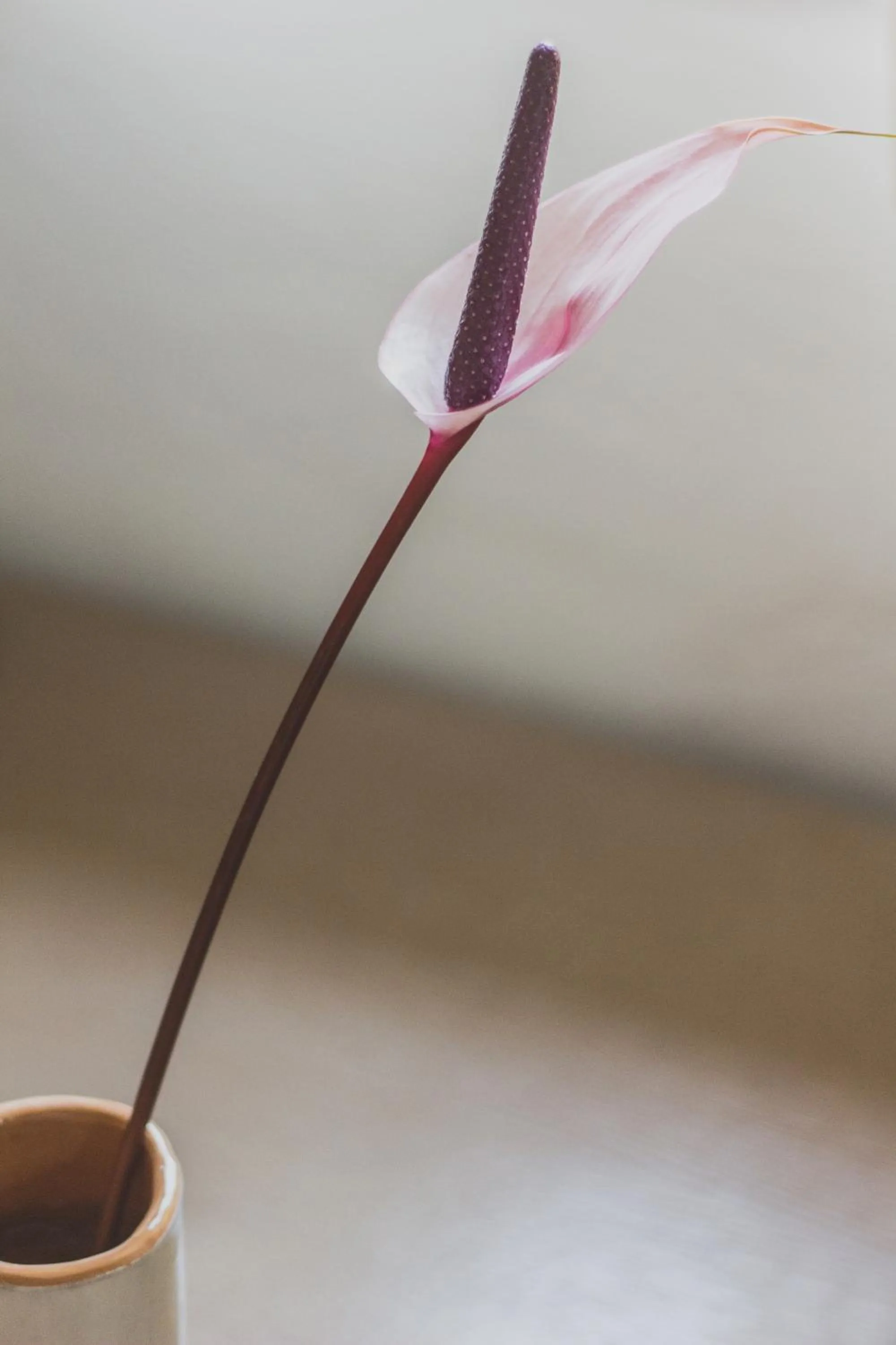 Decorative detail in Hotel Aquadulci