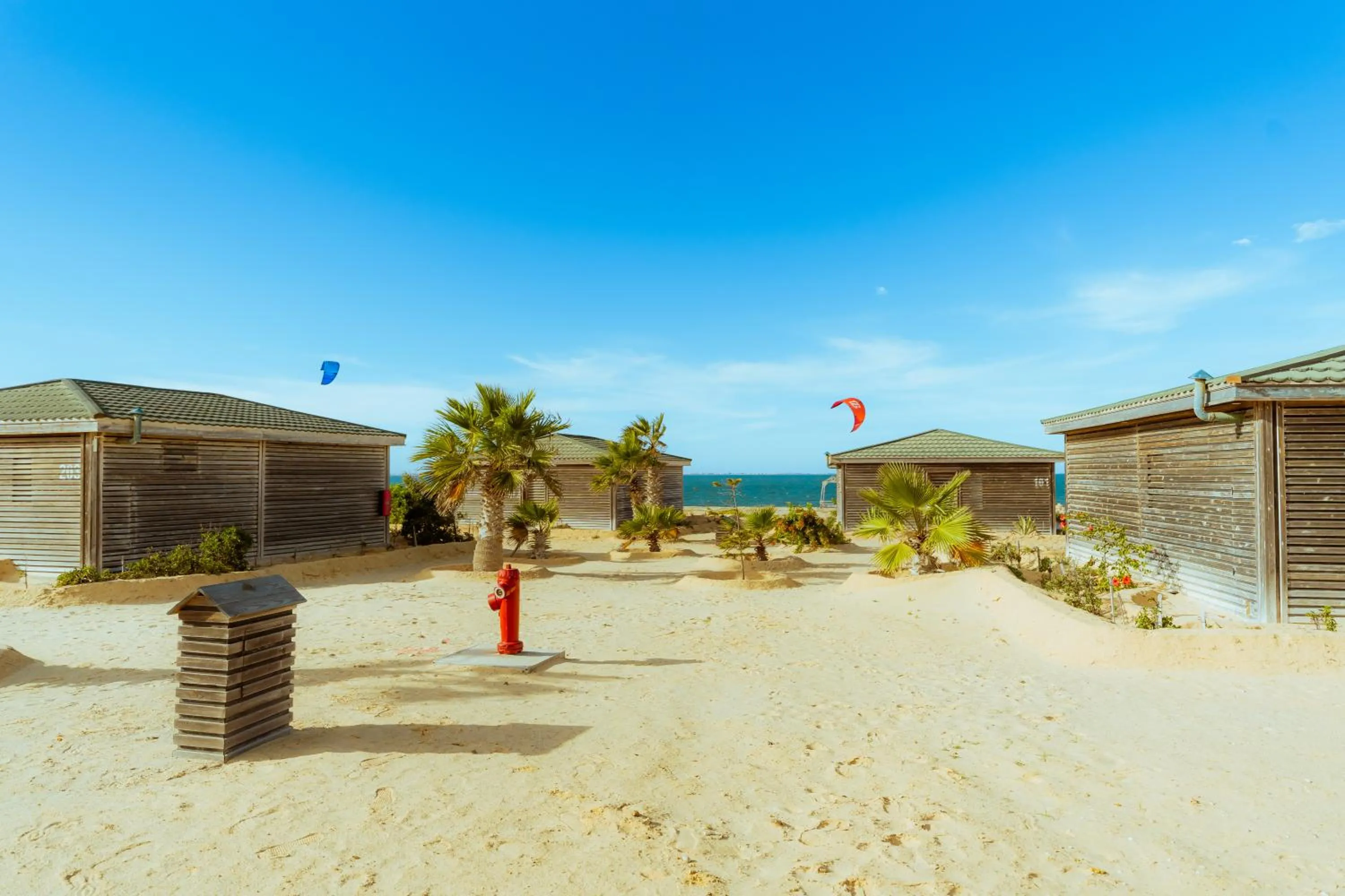 Day in Oasis212 Dakhla