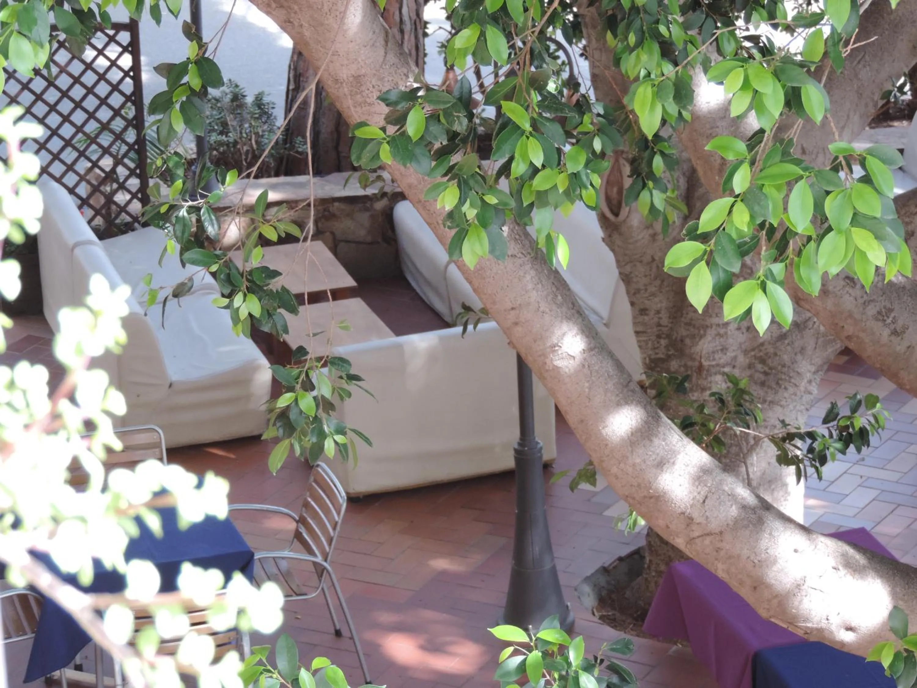 Patio in Albergo Miramare