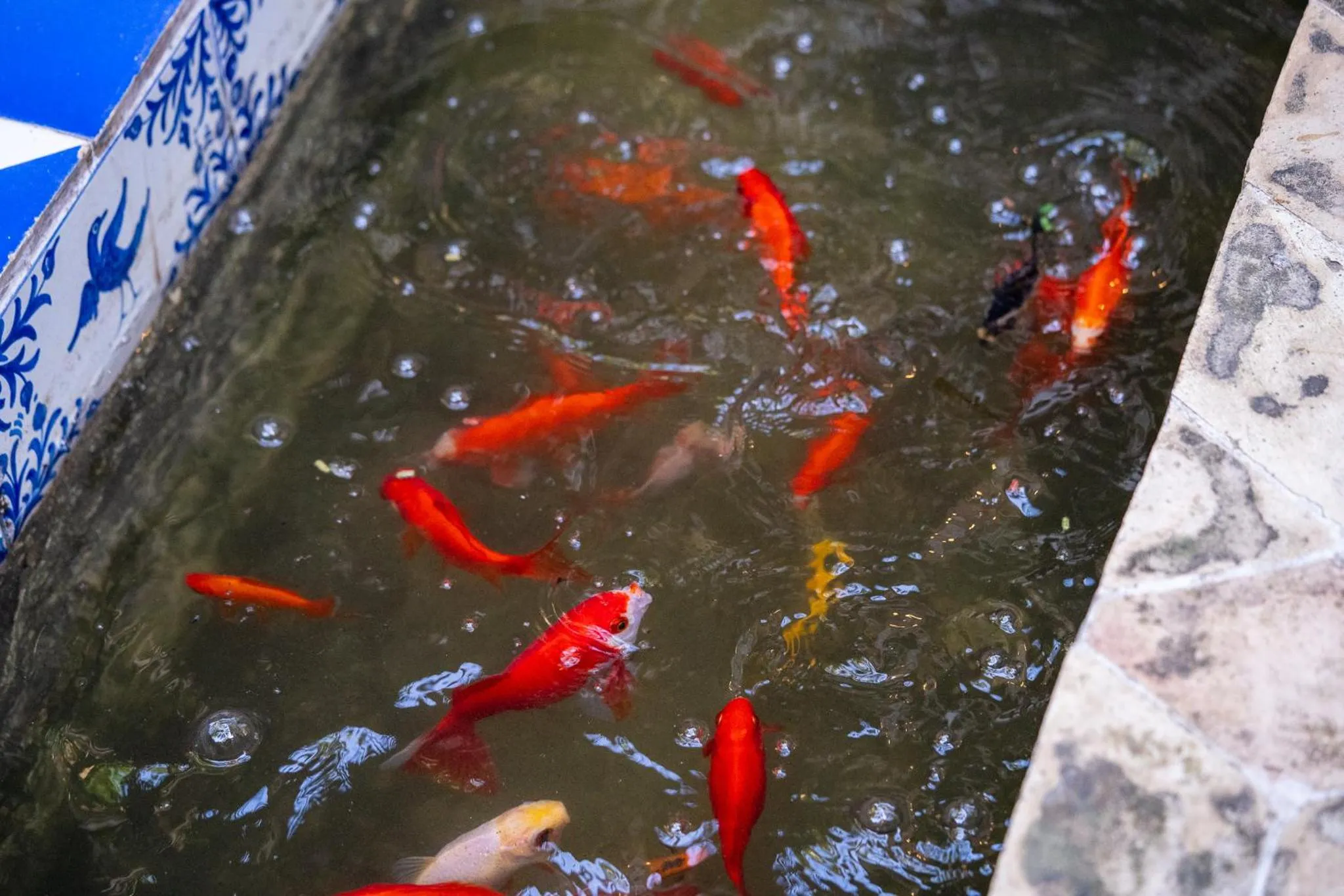 Off site in Hotel Can Verdera