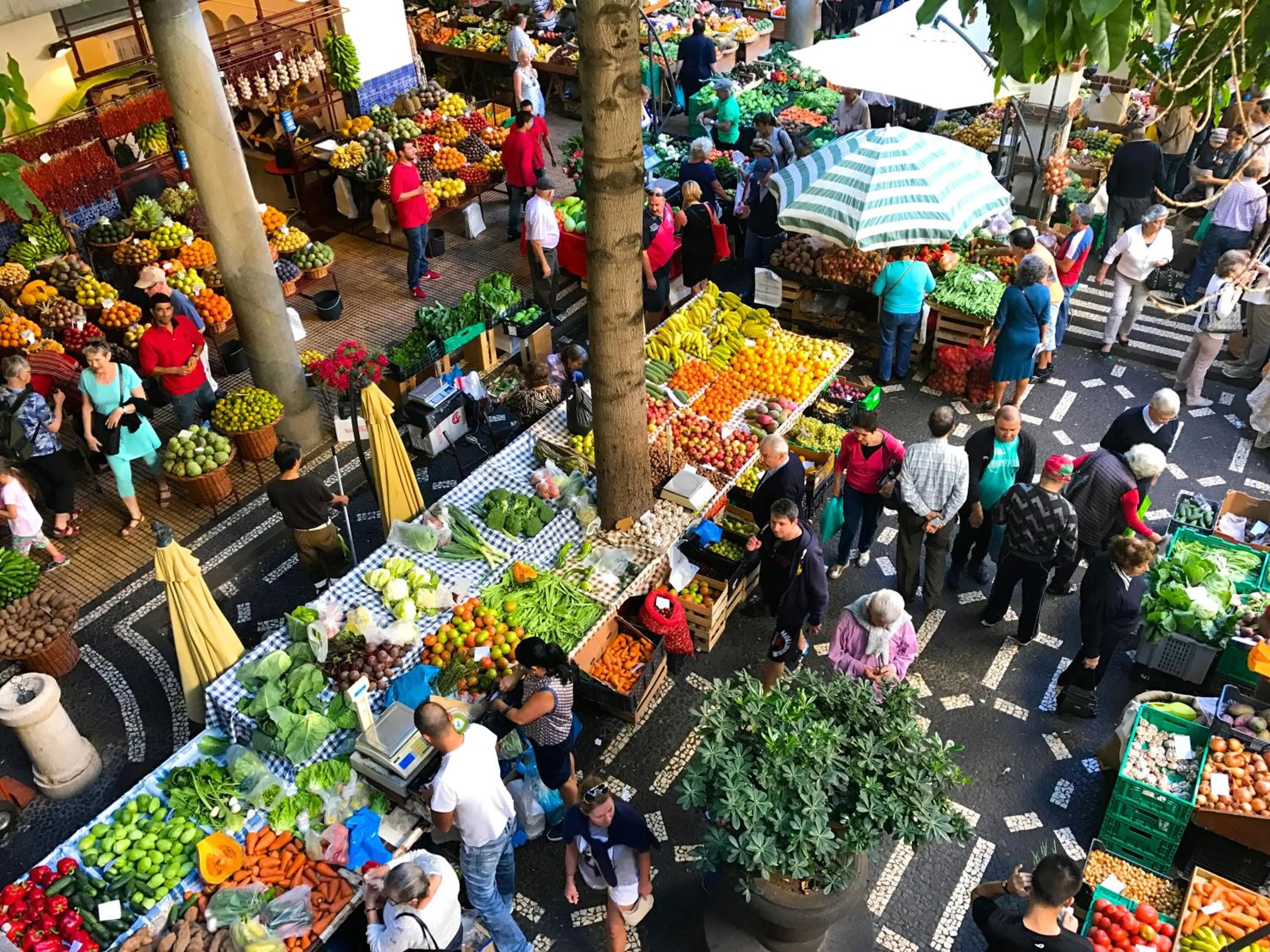 Supermarket/grocery shop in VILA ALEGRIA
