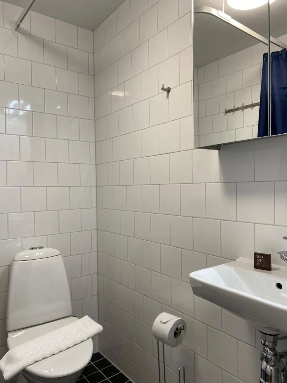 Toilet in Magnolia House Sollentuna