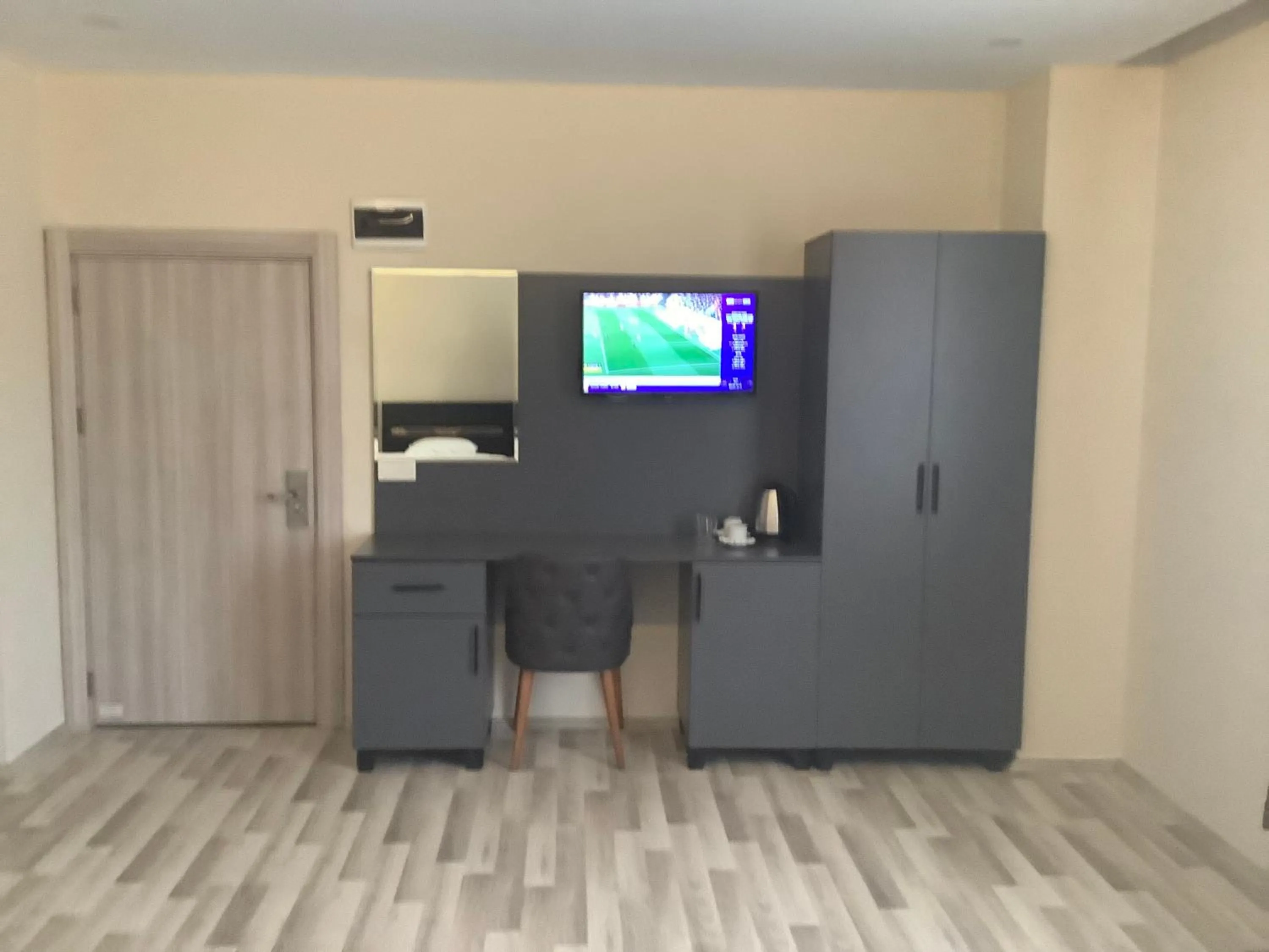 TV and multimedia in ATLIHAN PLUS HOTEL