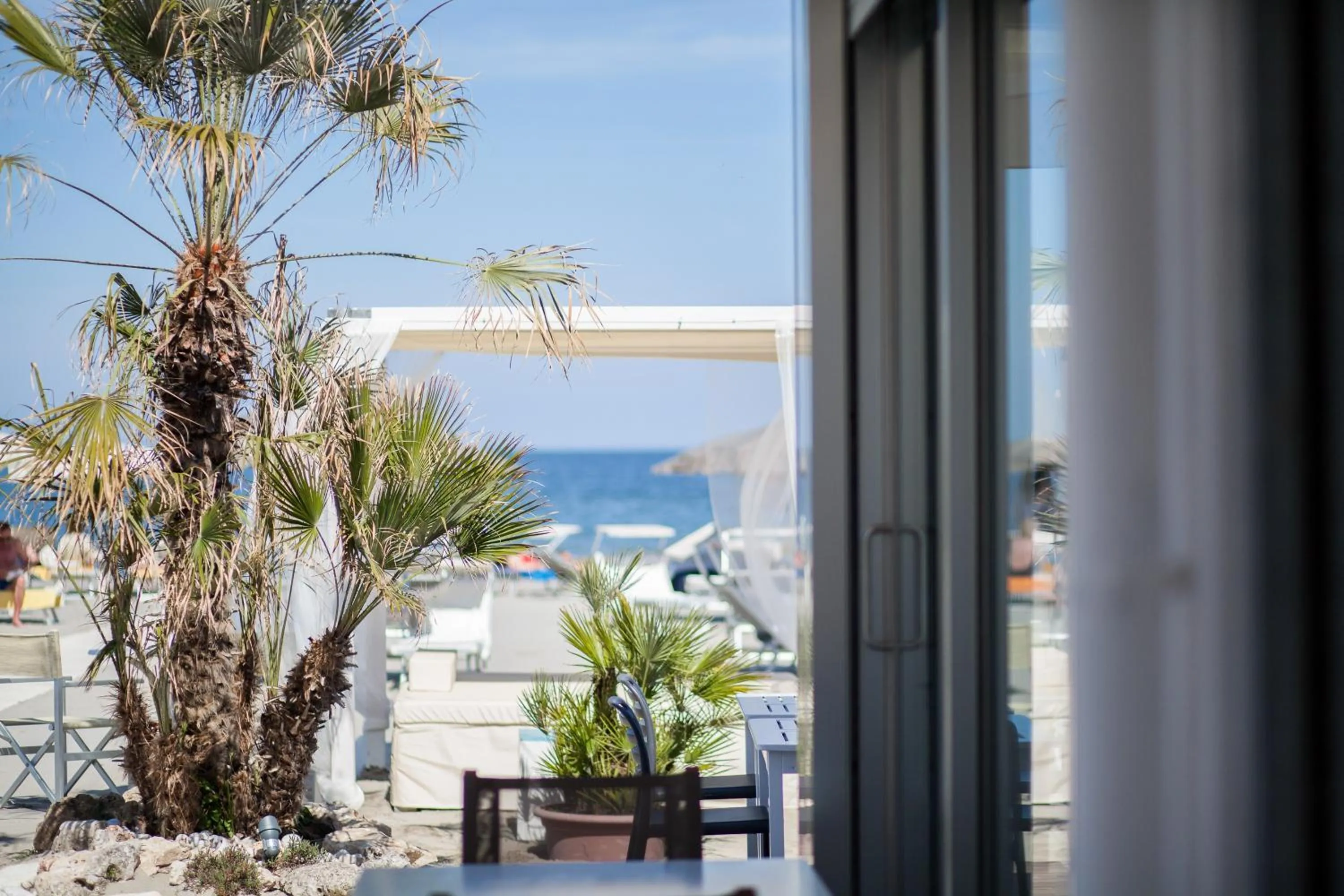 Natural landscape in Hotel Majestic