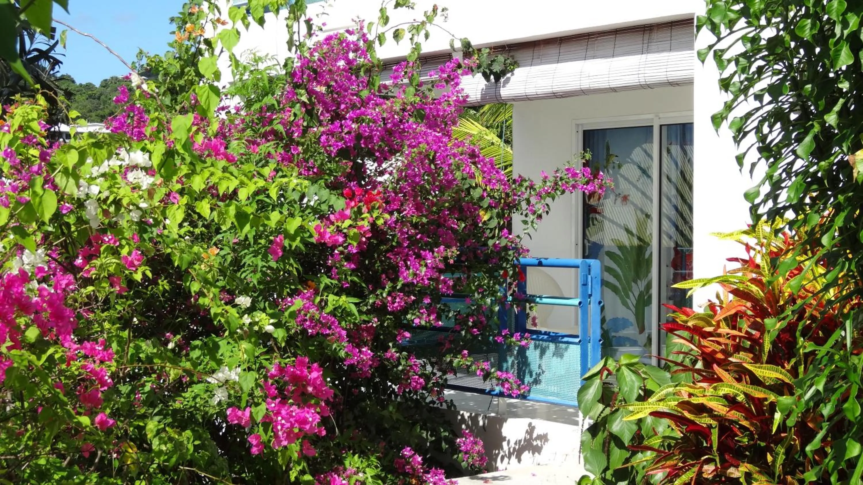 Garden in Résidence des îles