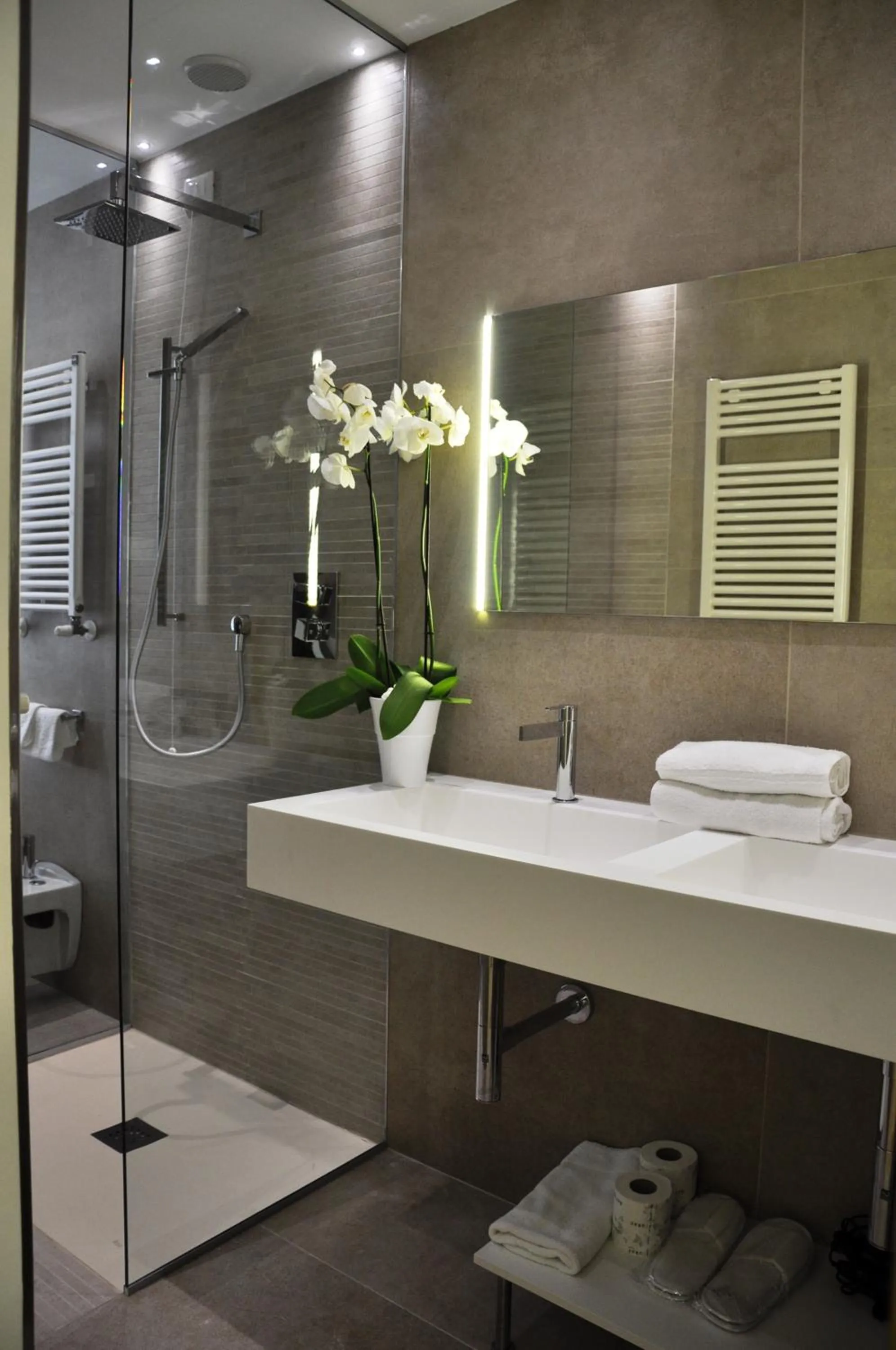 Shower in Hotel Polo