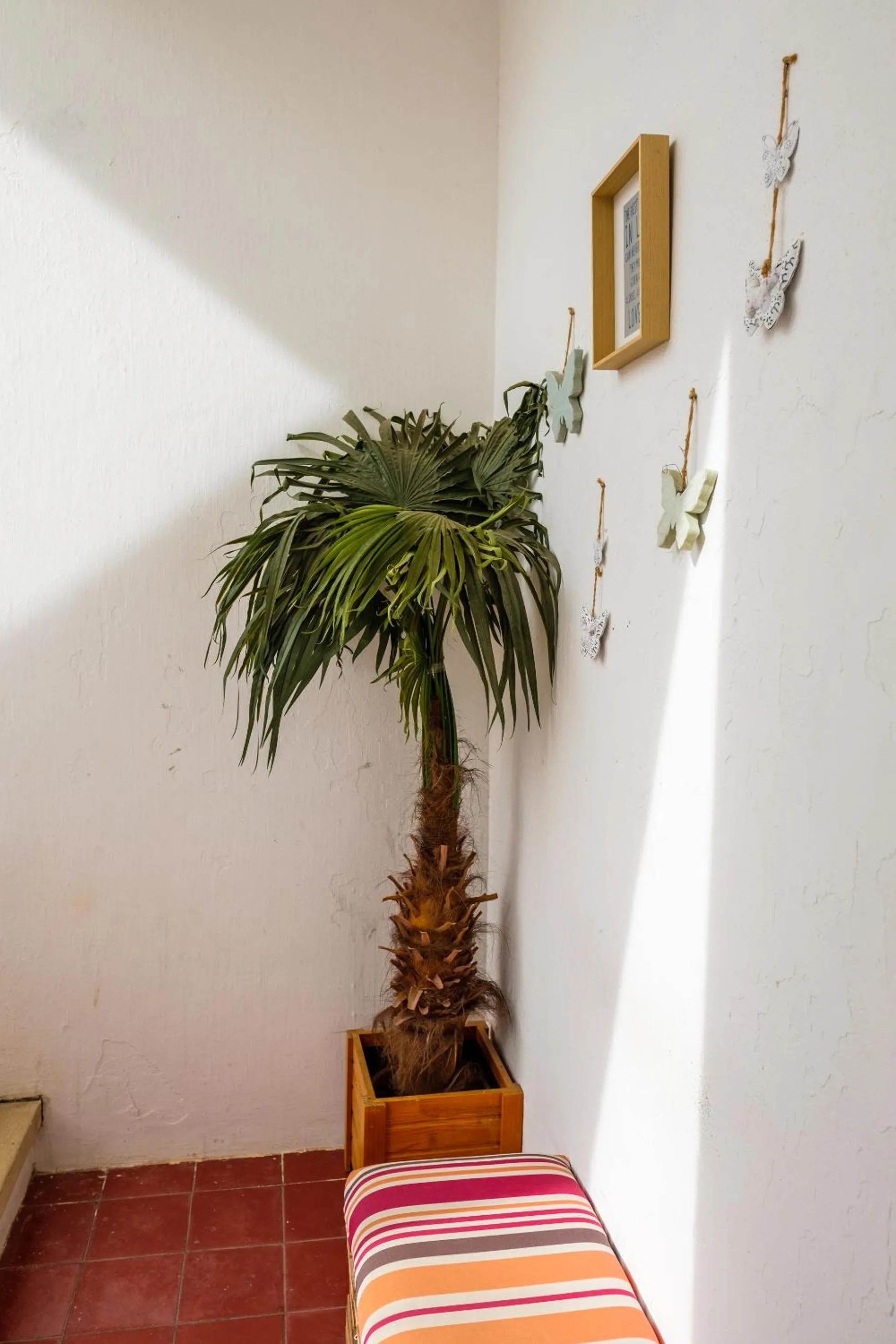Balcony/Terrace in Loulé Coreto Hostel
