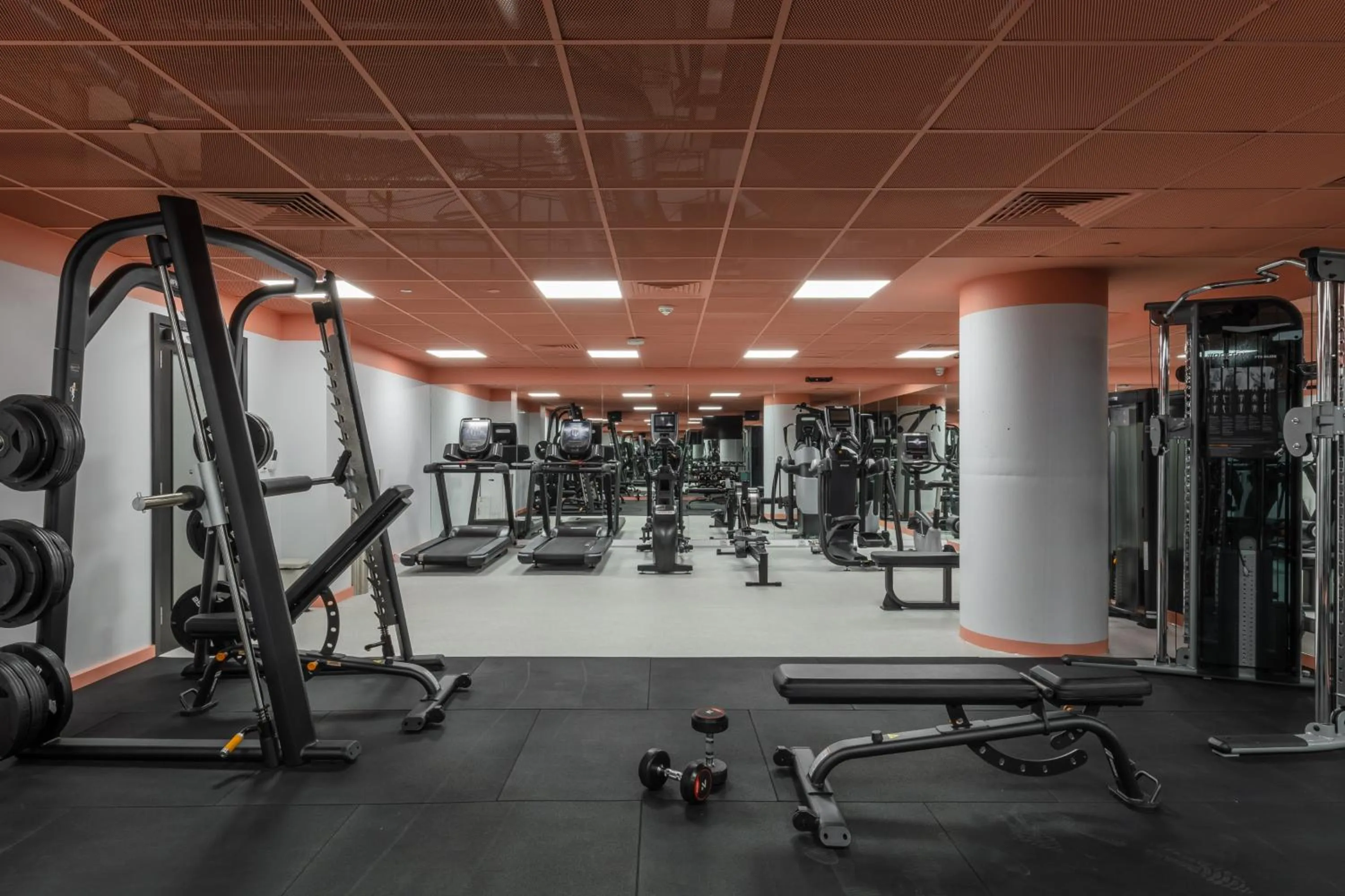 Fitness centre/facilities in ARK Wembley