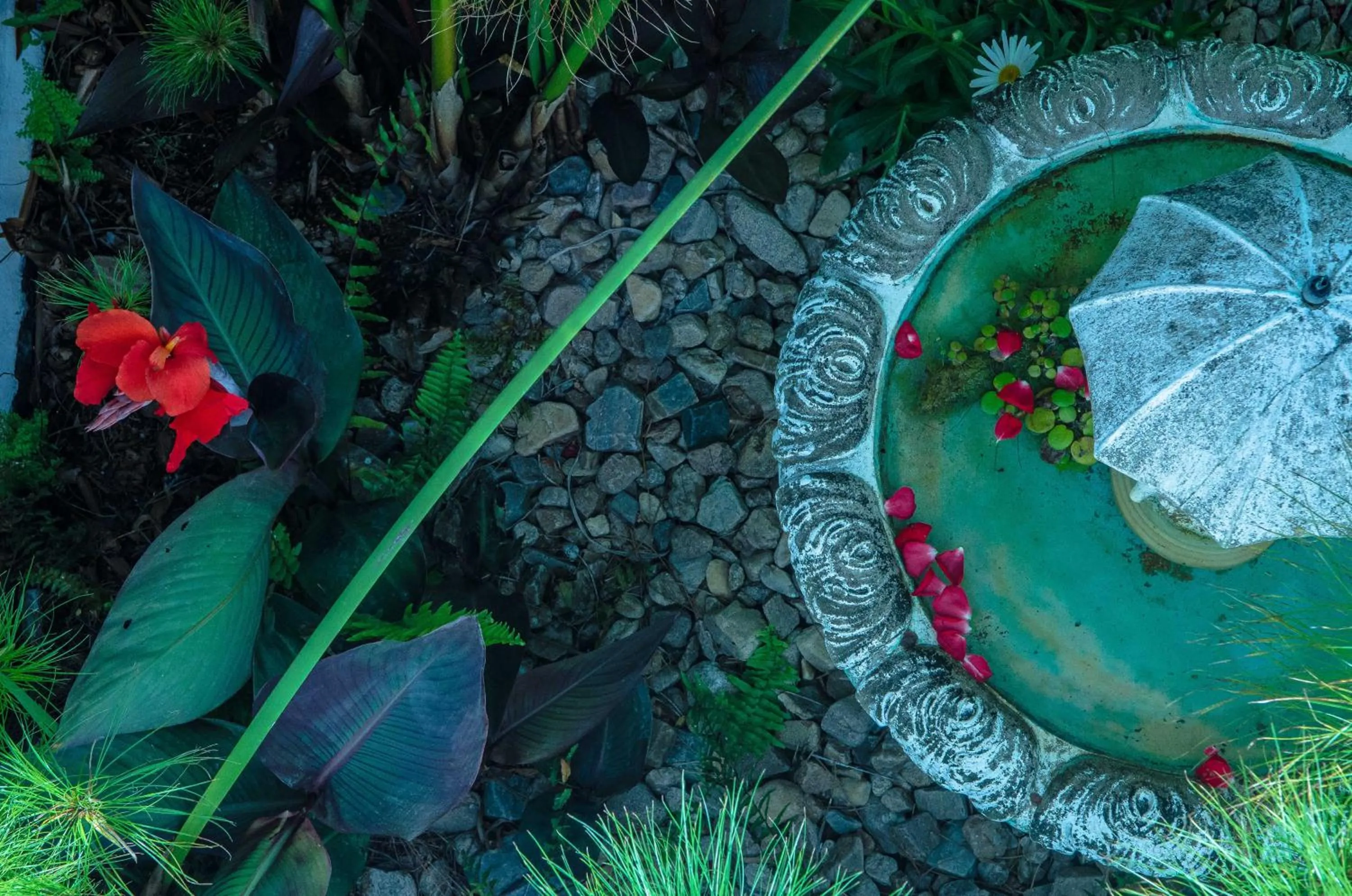Garden view in La Atrevida