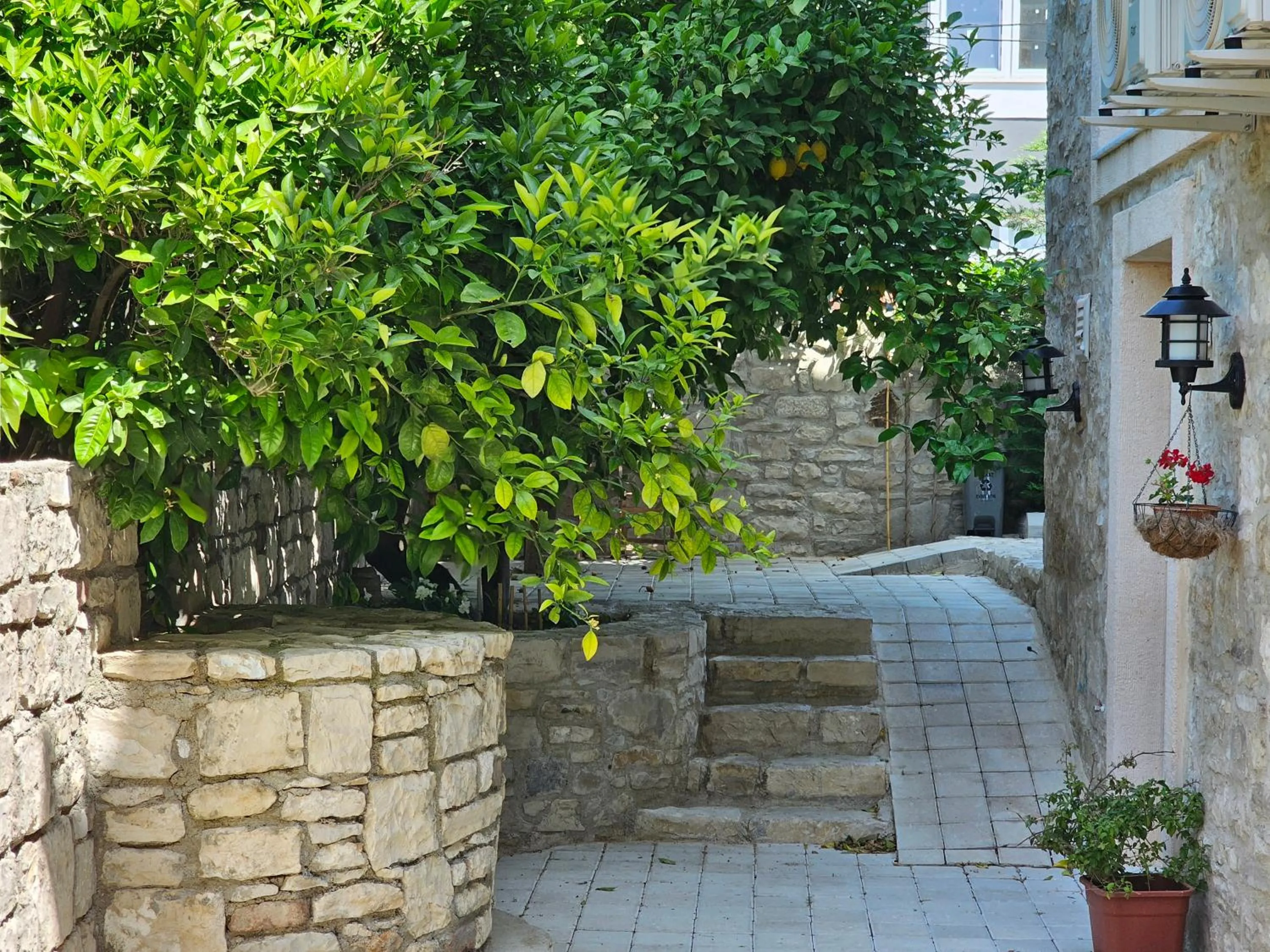 Spring in Kuğu Urla