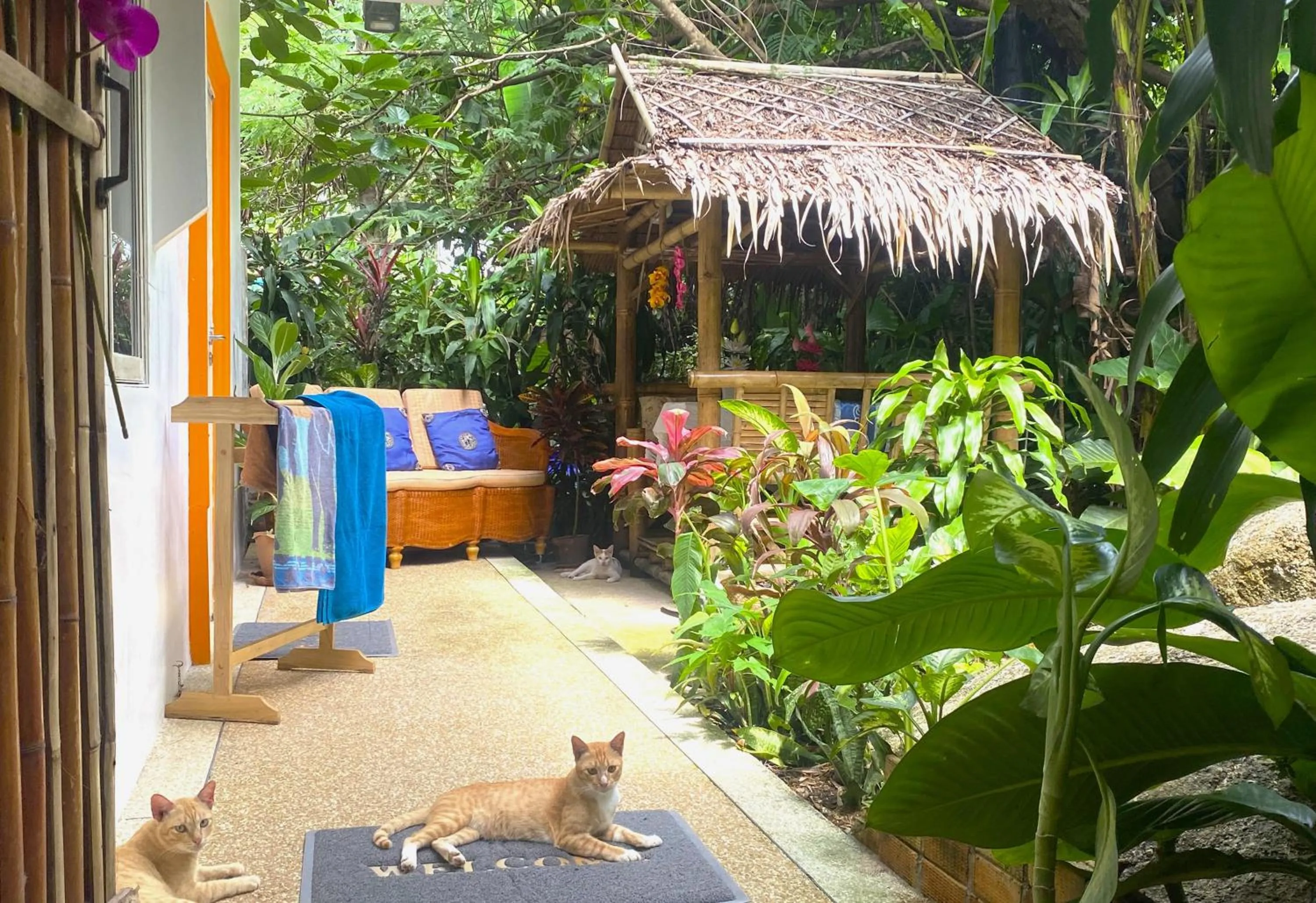 Garden view in OASIS VILLA Karon Beach