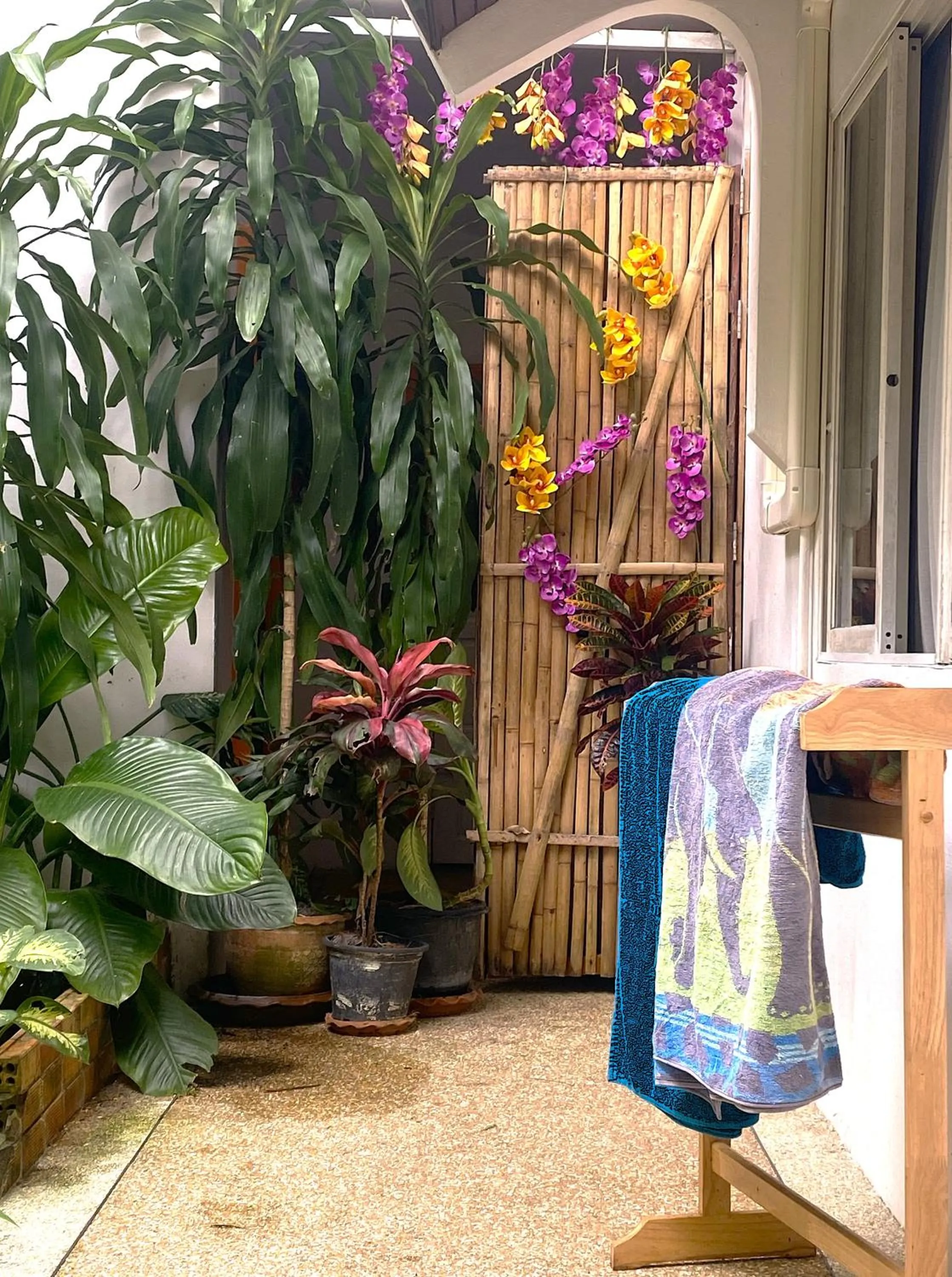 Garden in OASIS VILLA Karon Beach