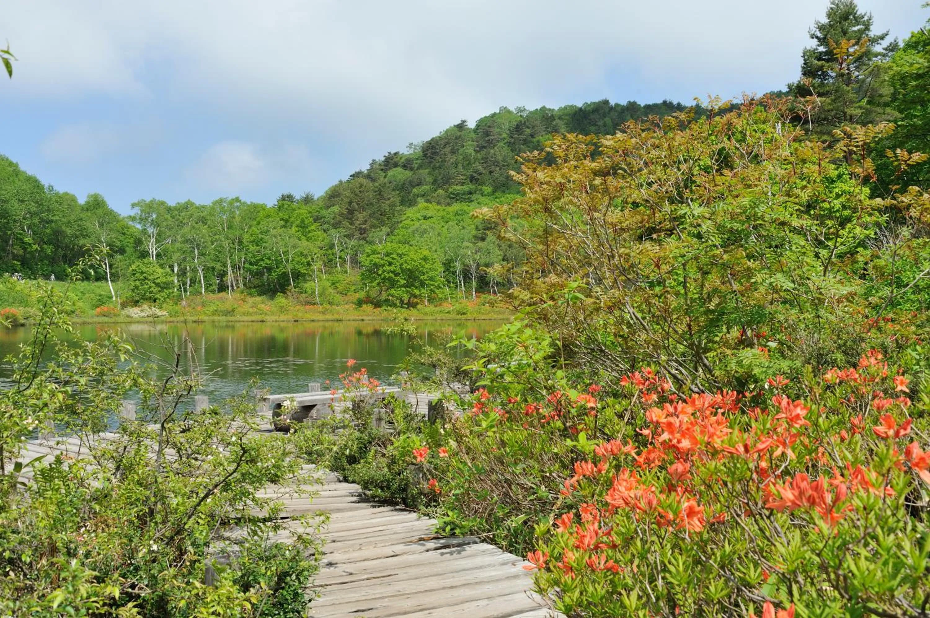 Off site in Hotel Japan Shiga