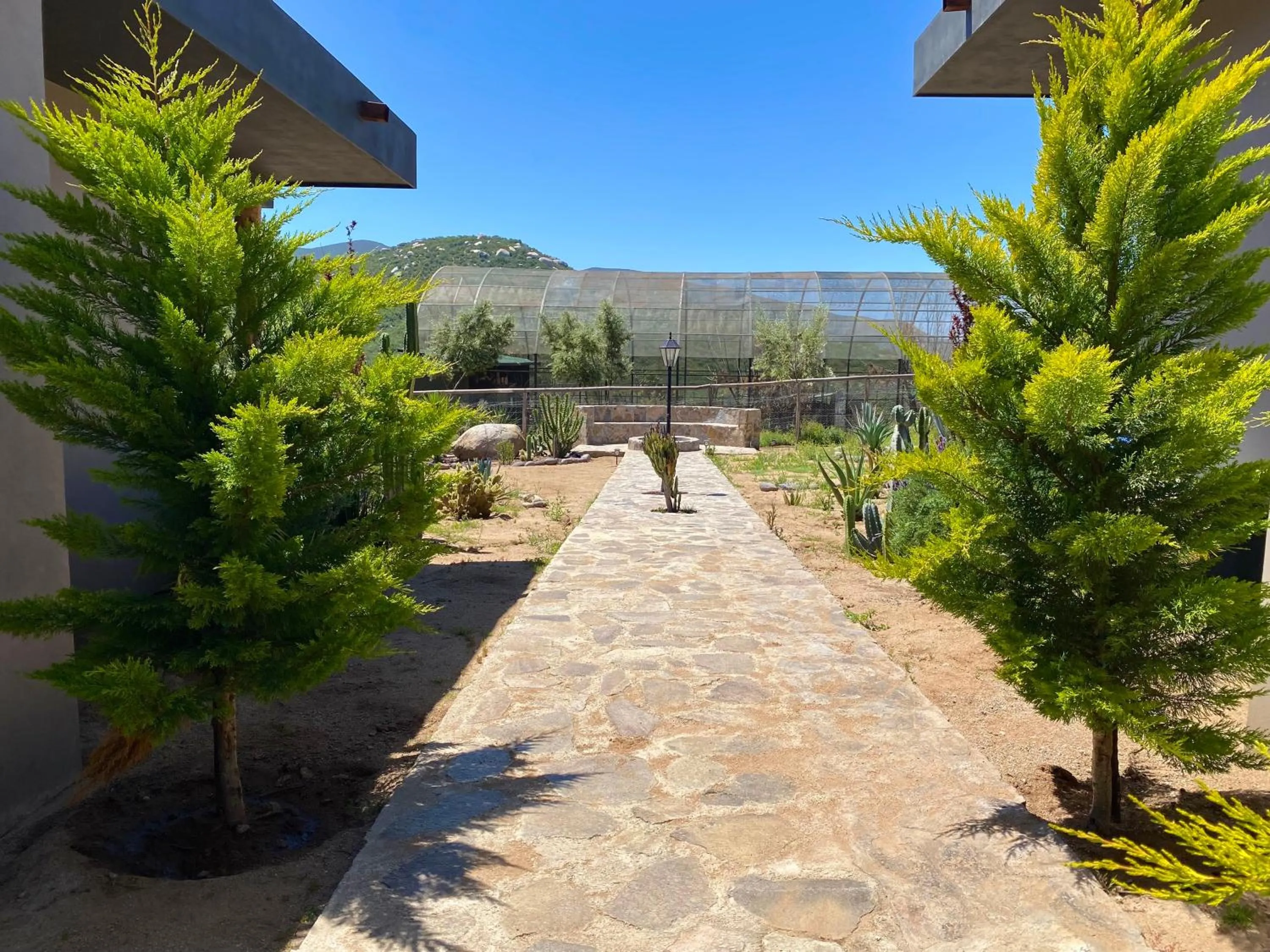 Garden in Coquenas del Valle