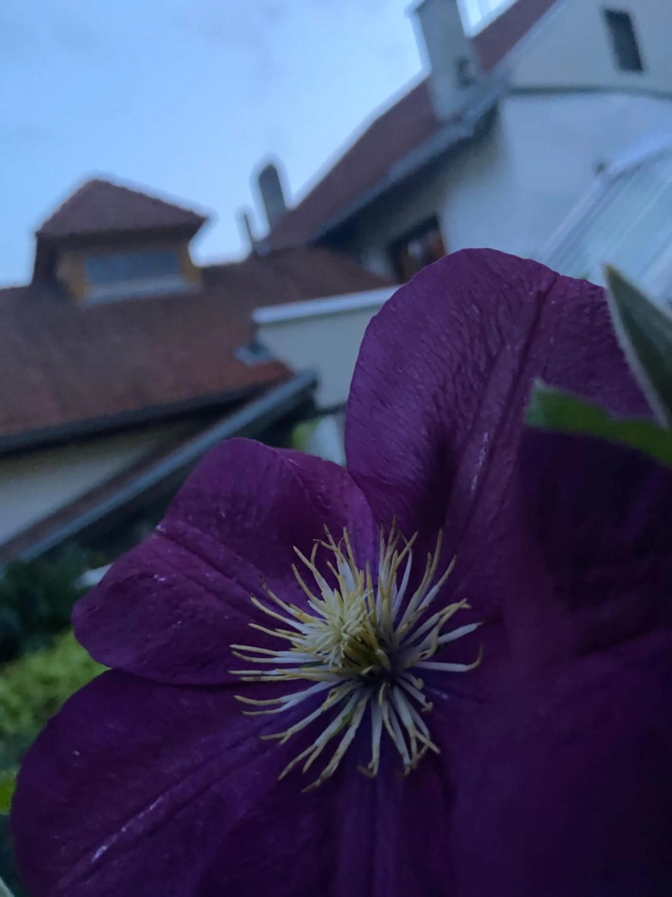 Balcony/Terrace in Gasthof zum Mohrn
