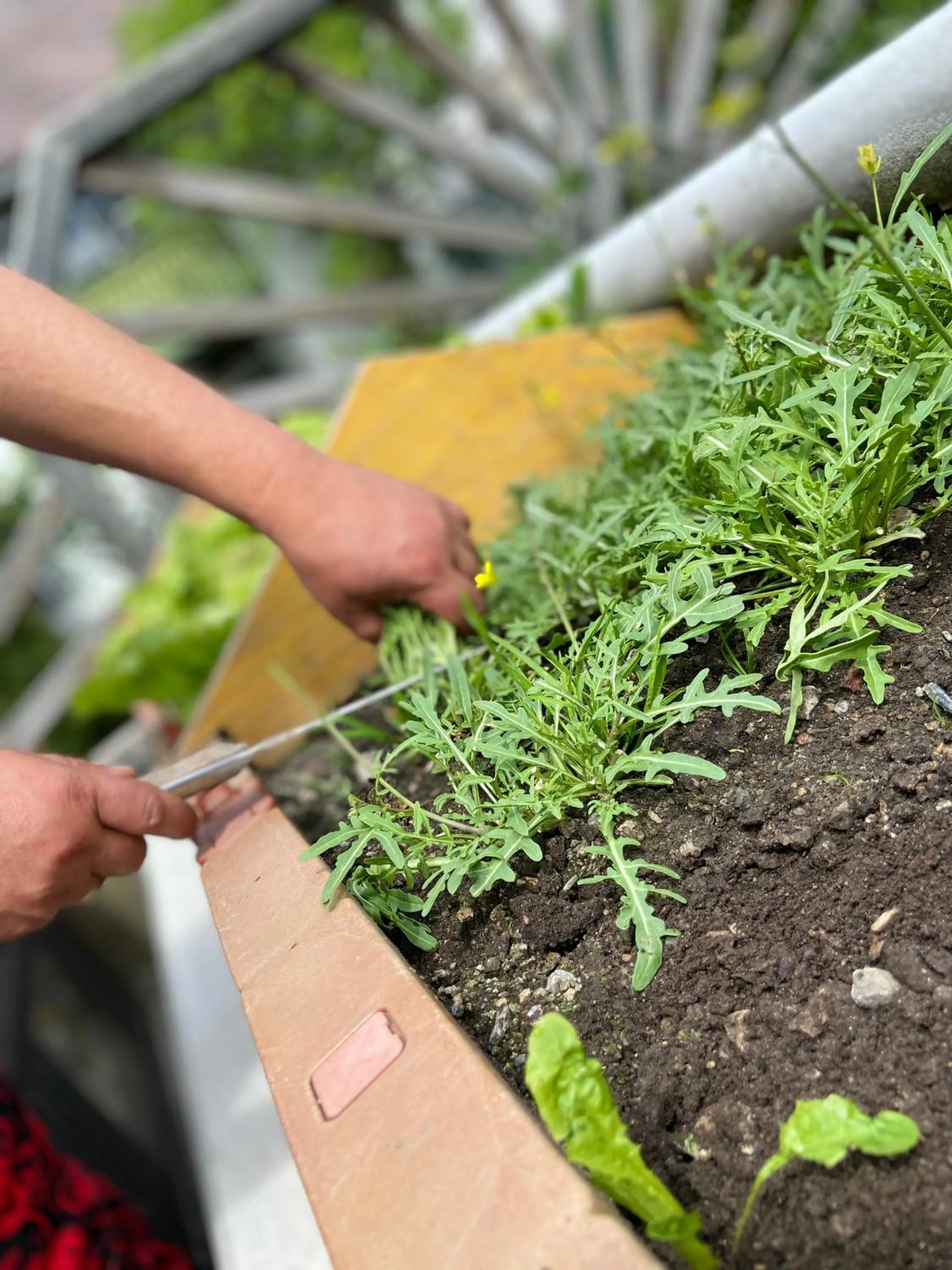 On site in Gasthof zum Mohrn