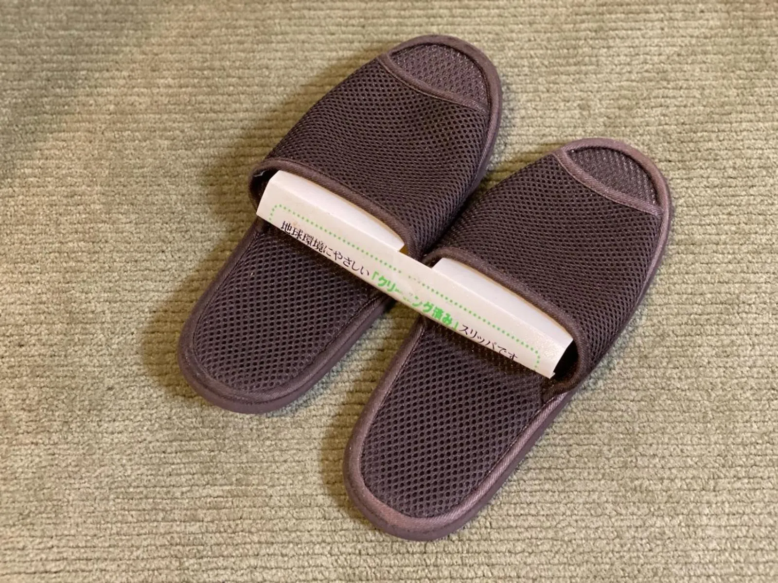 Area and facilities in Koriyama View Hotel Annex