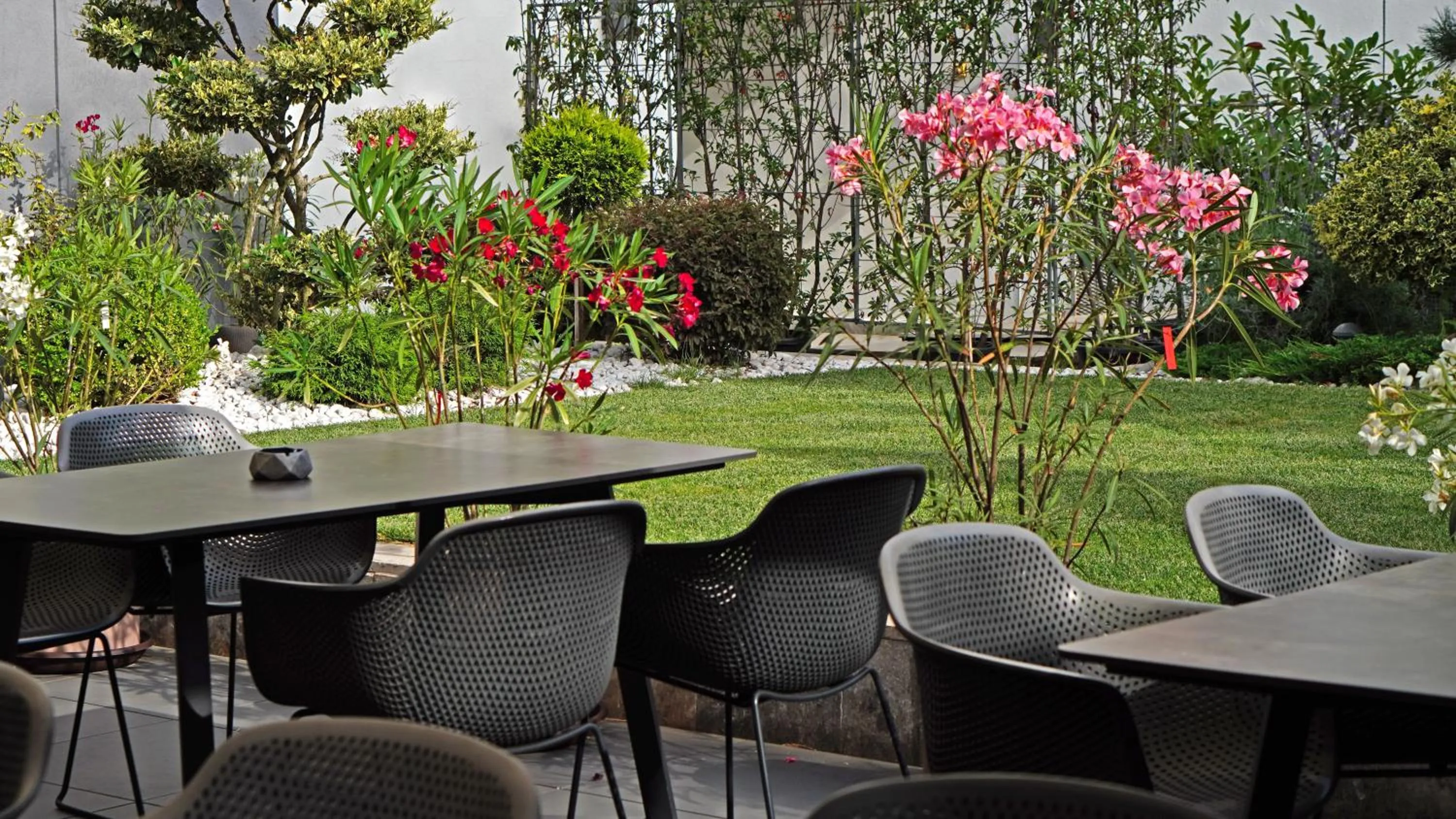 Garden in Aniroc Signature Hotel