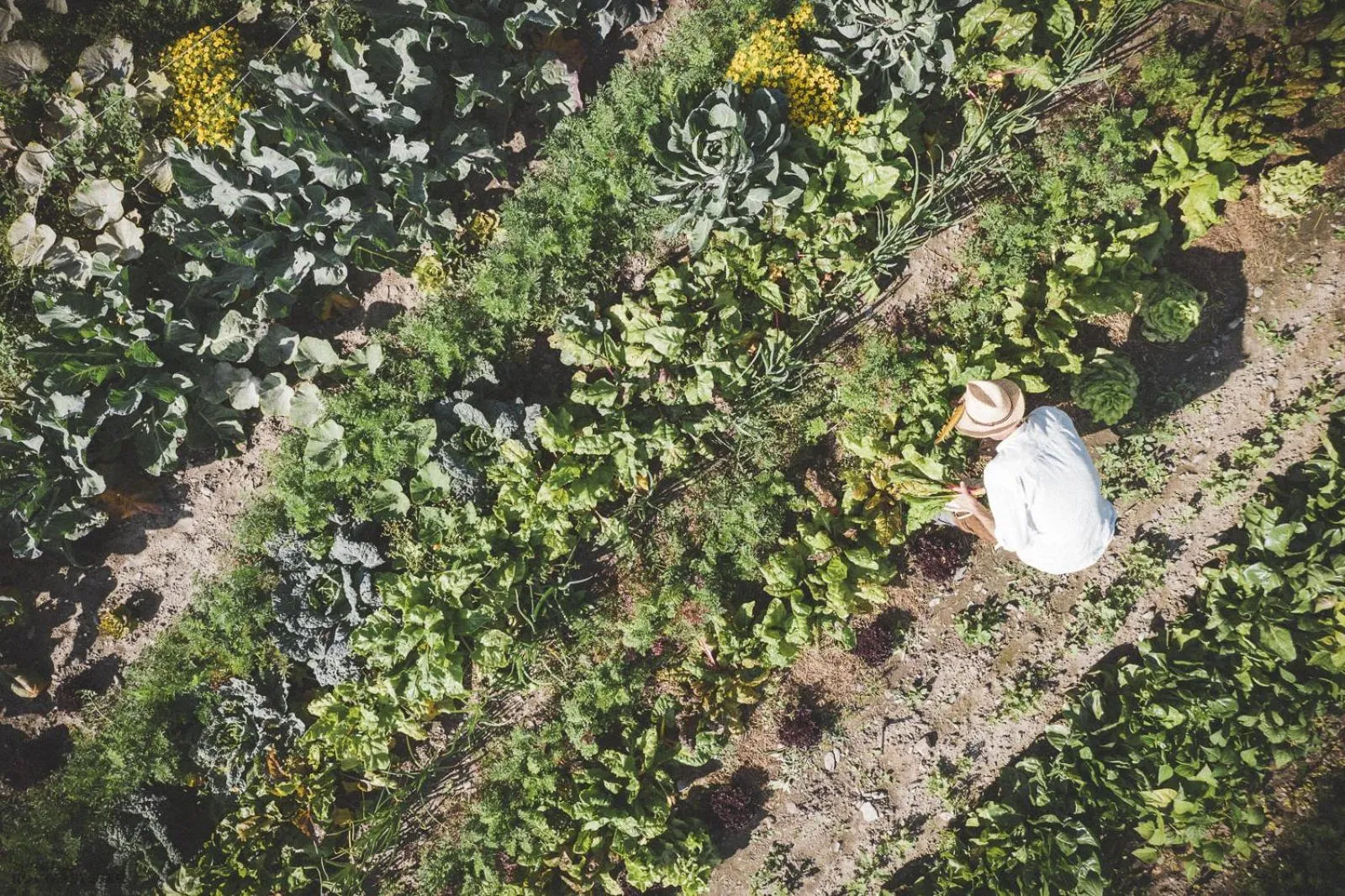 Food in Hotel Alte Mühle 4 Stelle