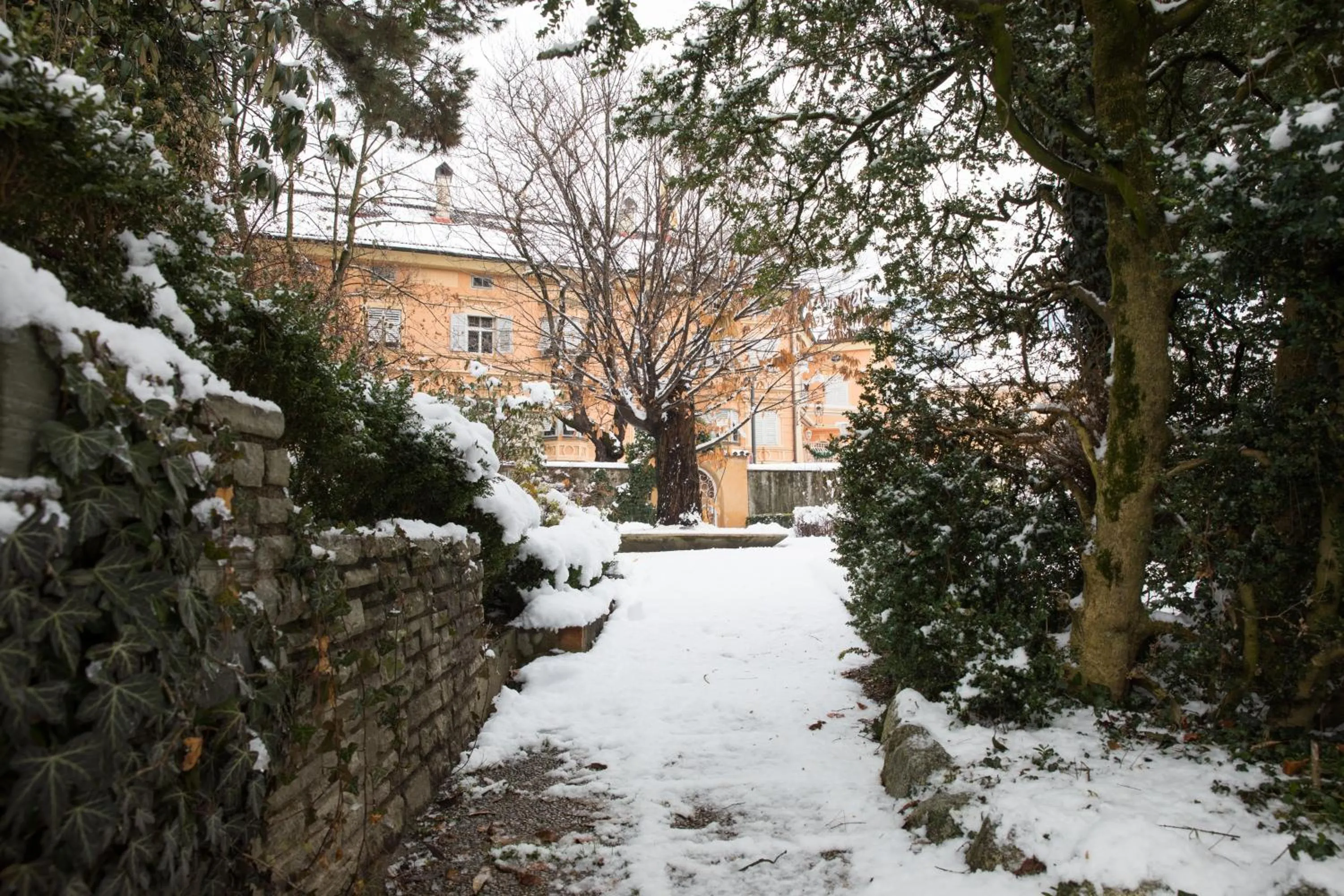 Facade/entrance in Hotel Elephant