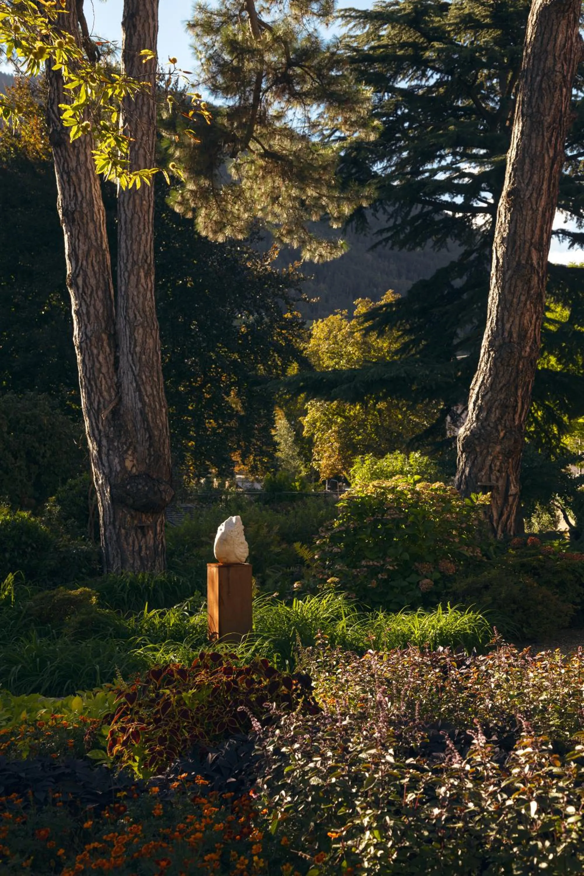 Natural landscape in Hotel Elephant