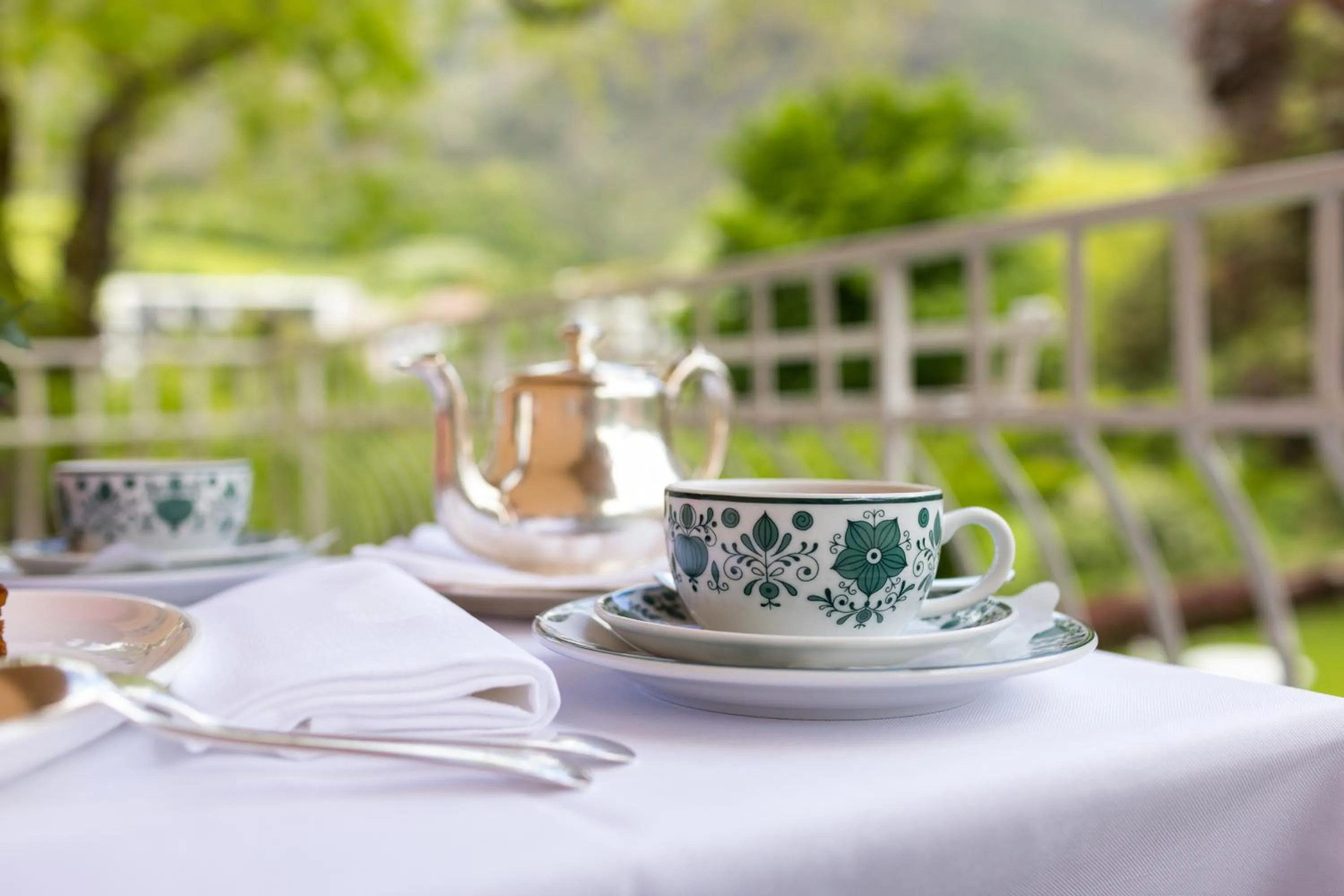 Natural landscape in Hotel Elephant