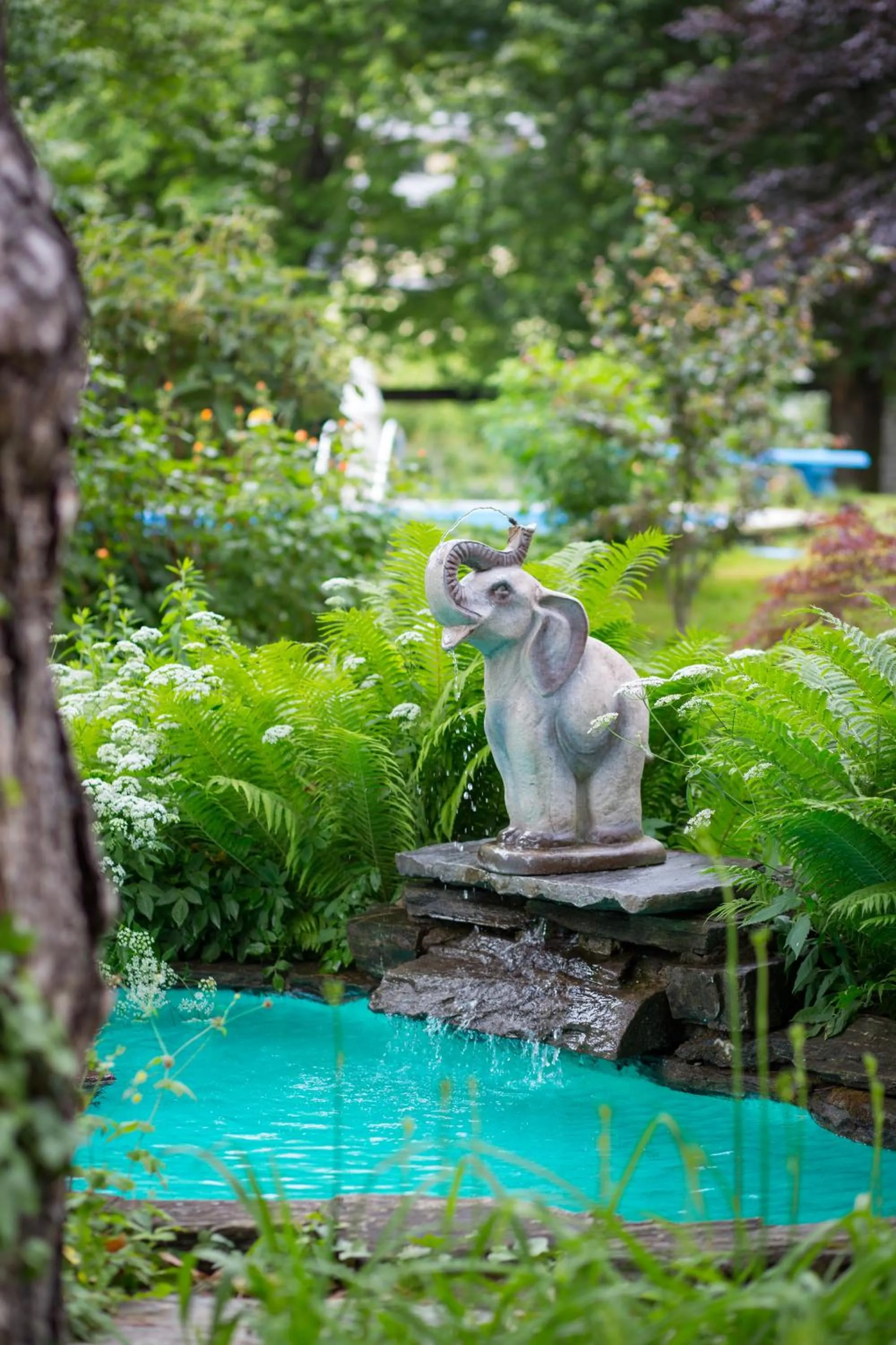 Garden in Hotel Elephant