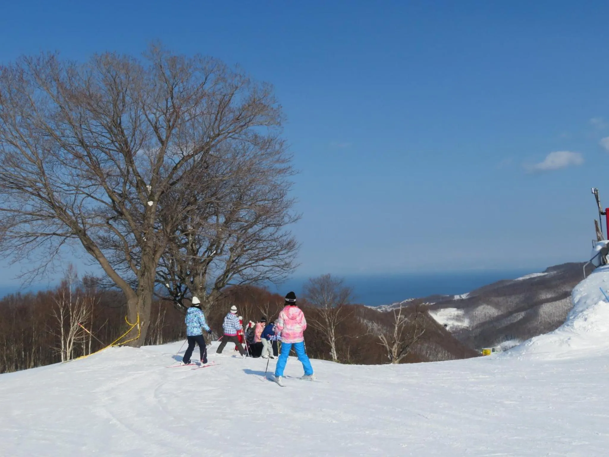 Skiing in 朝里川温泉ホテル