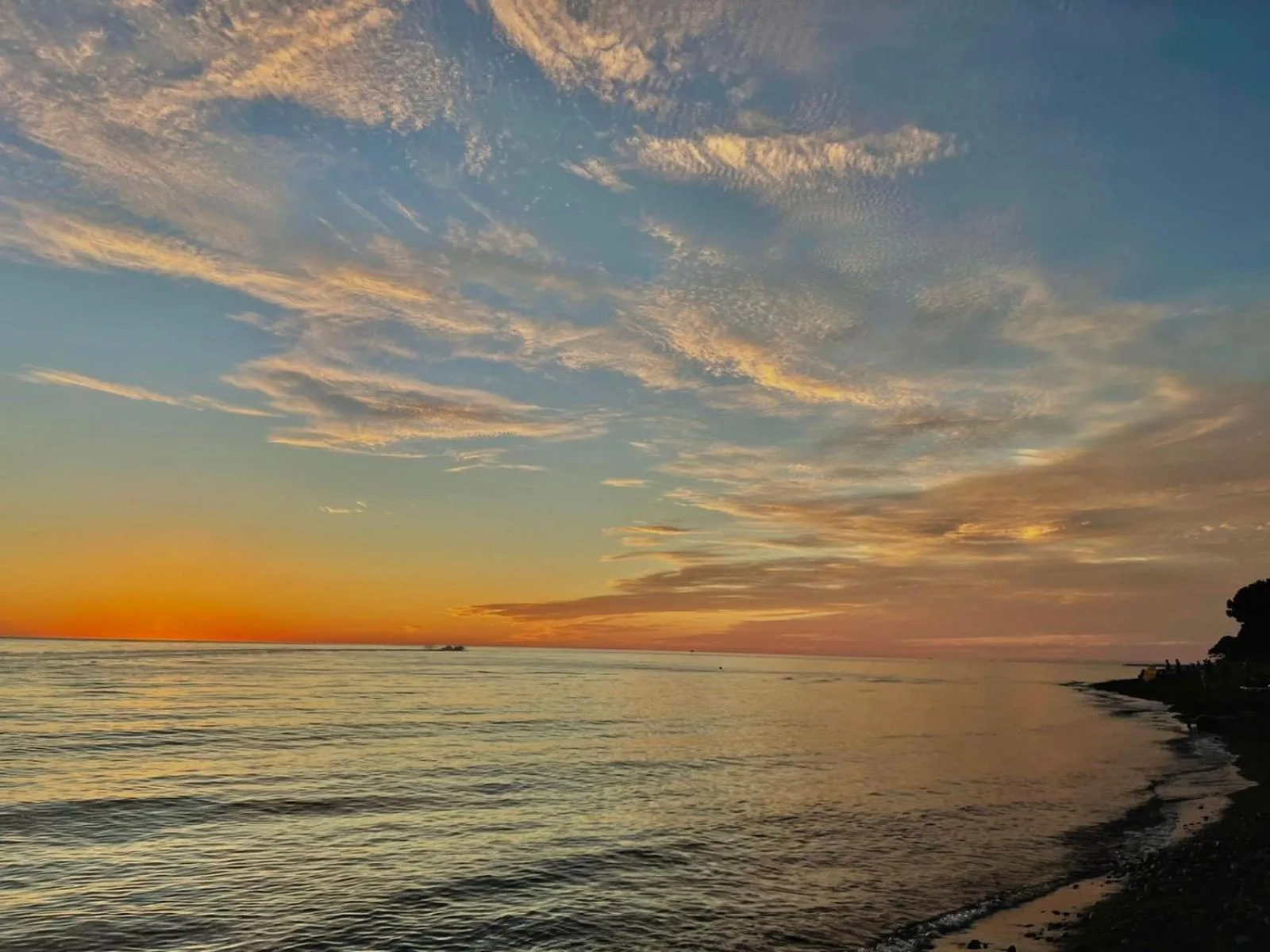 Natural landscape in Claude Monet Seaside Hotel
