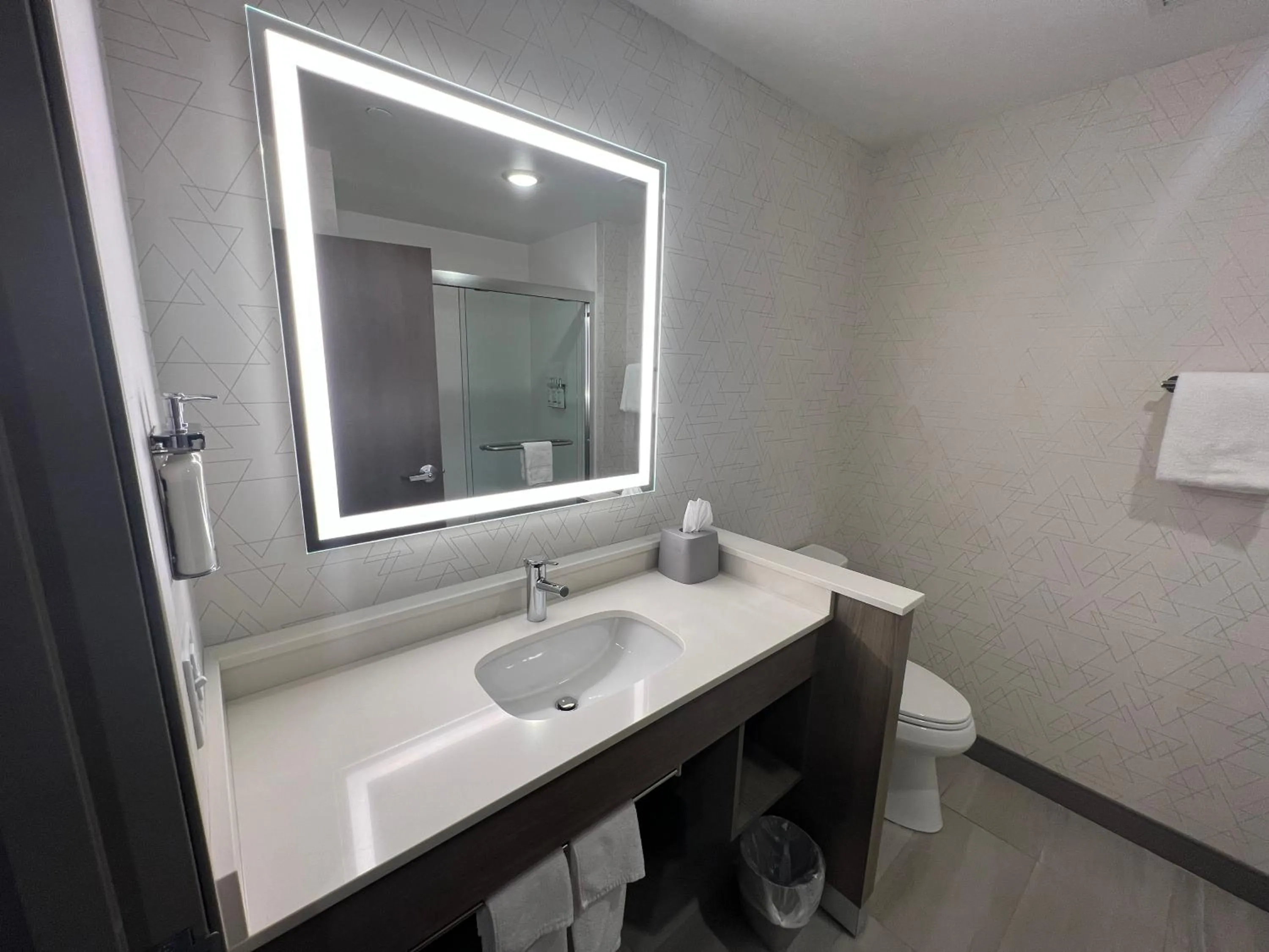 Bathroom in Holiday Inn Express & Suites - Tomah by IHG