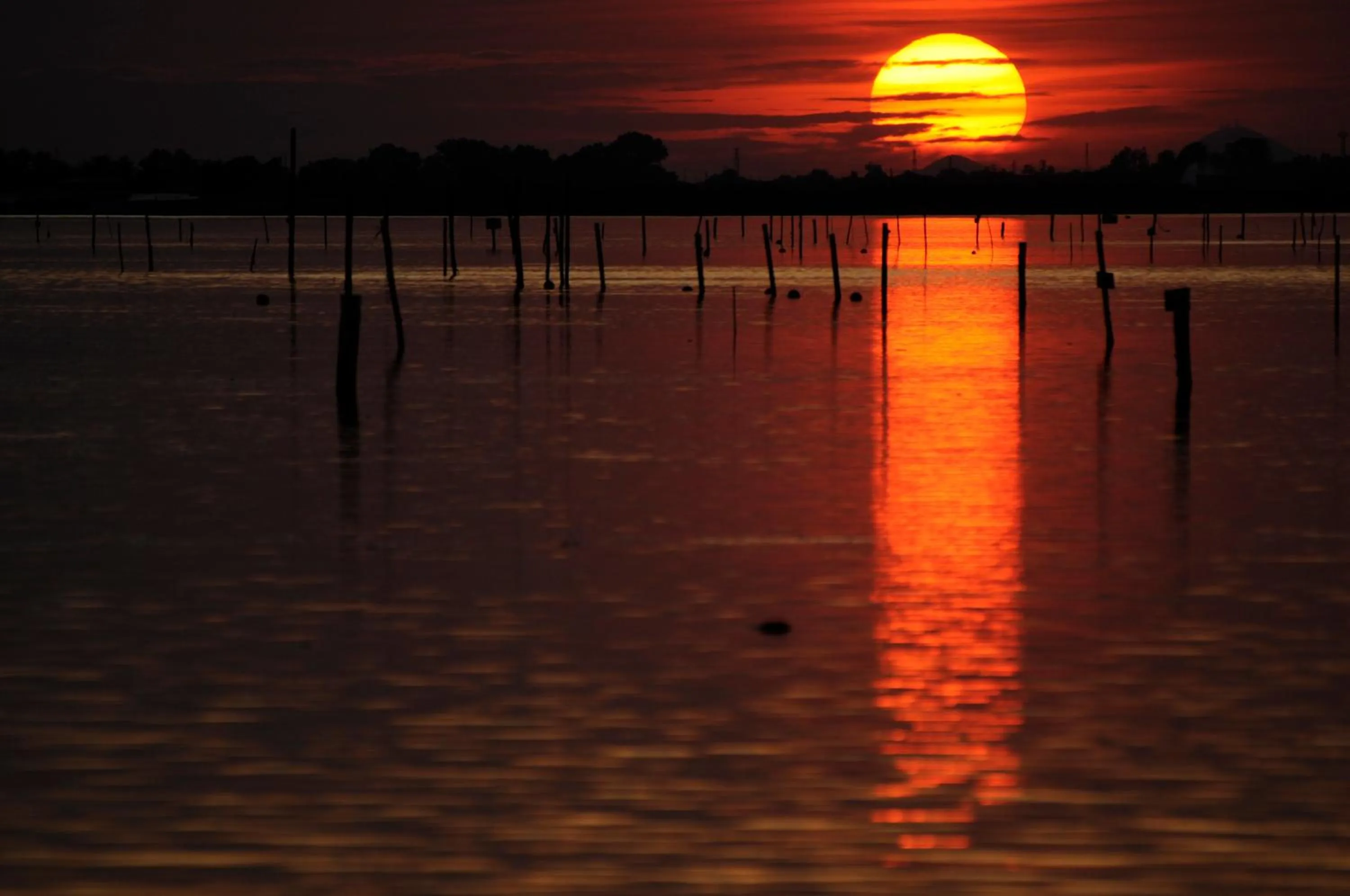 Sunset in Isola di Albarella Golf Hotel