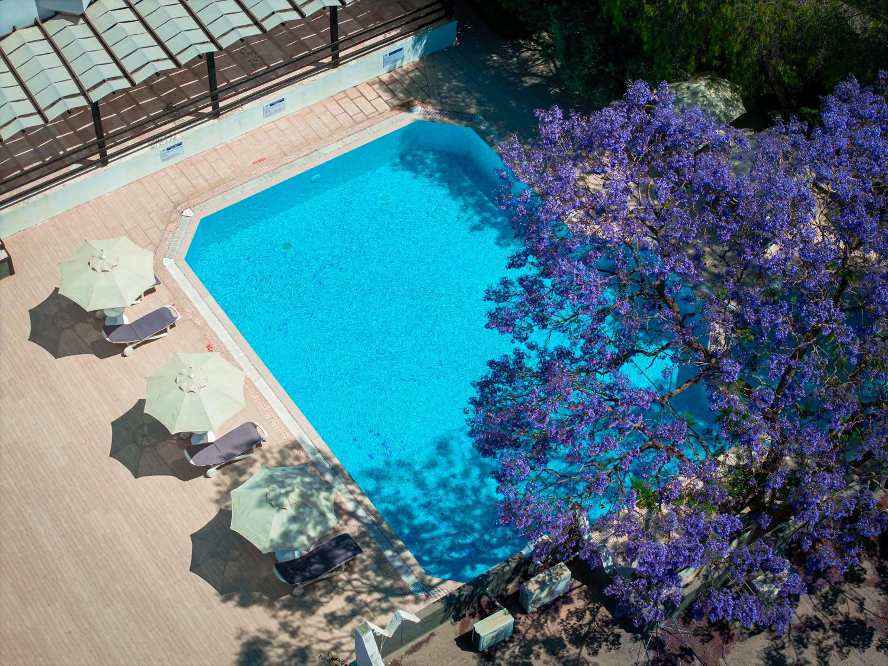 Swimming pool in Hotel Atrium