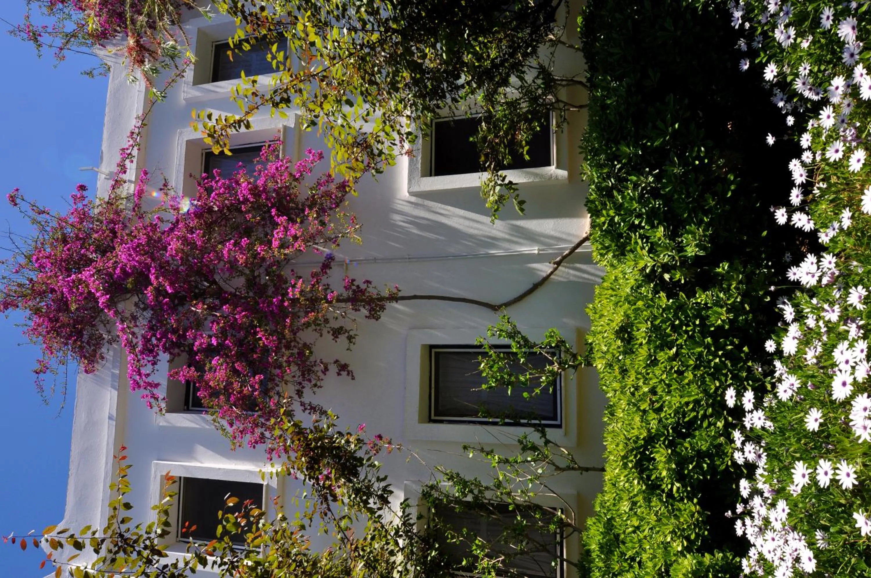 Natural landscape in Hotel Atrium